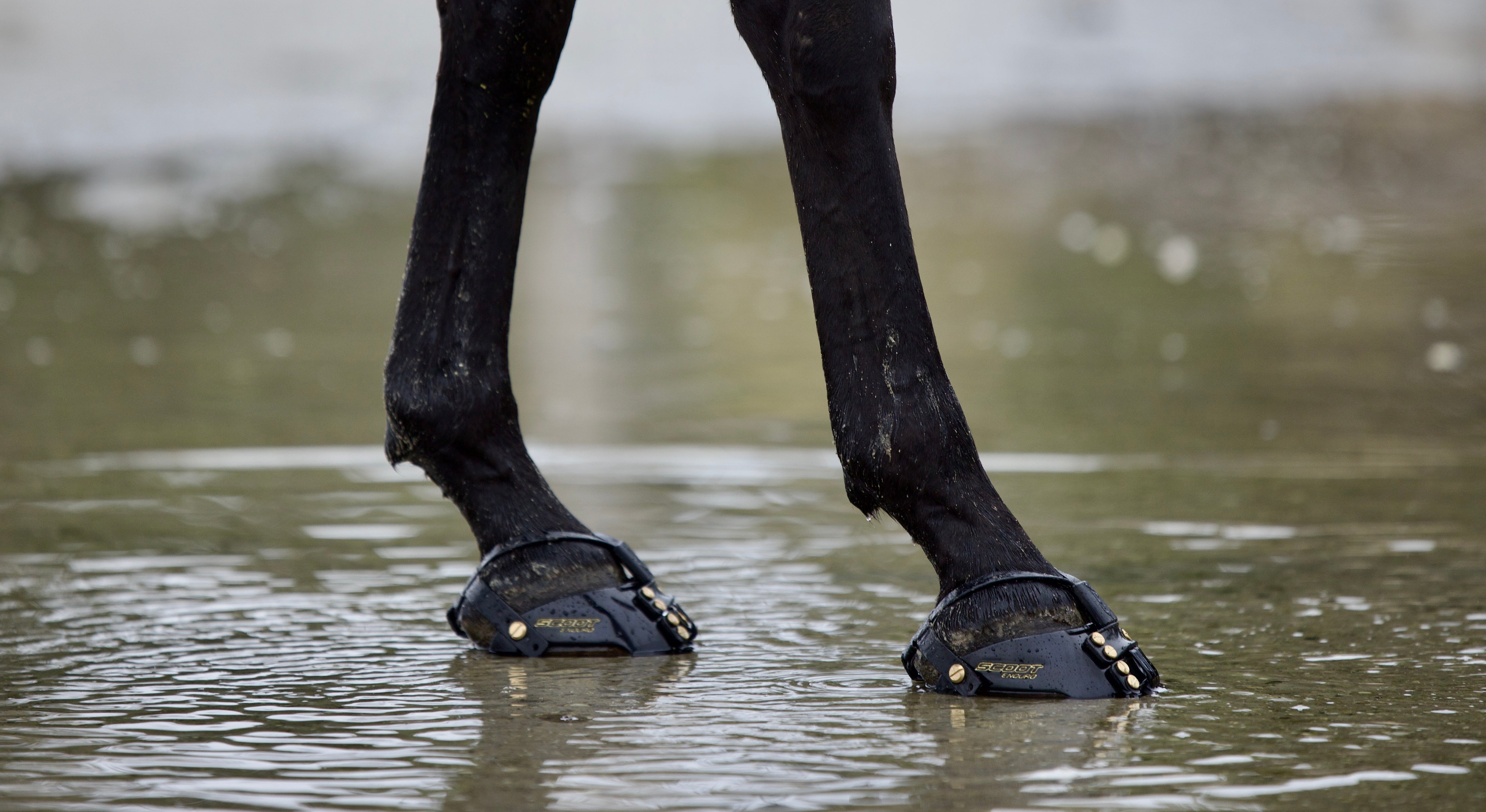 Eisenlos im Ring mit Scoot Boots