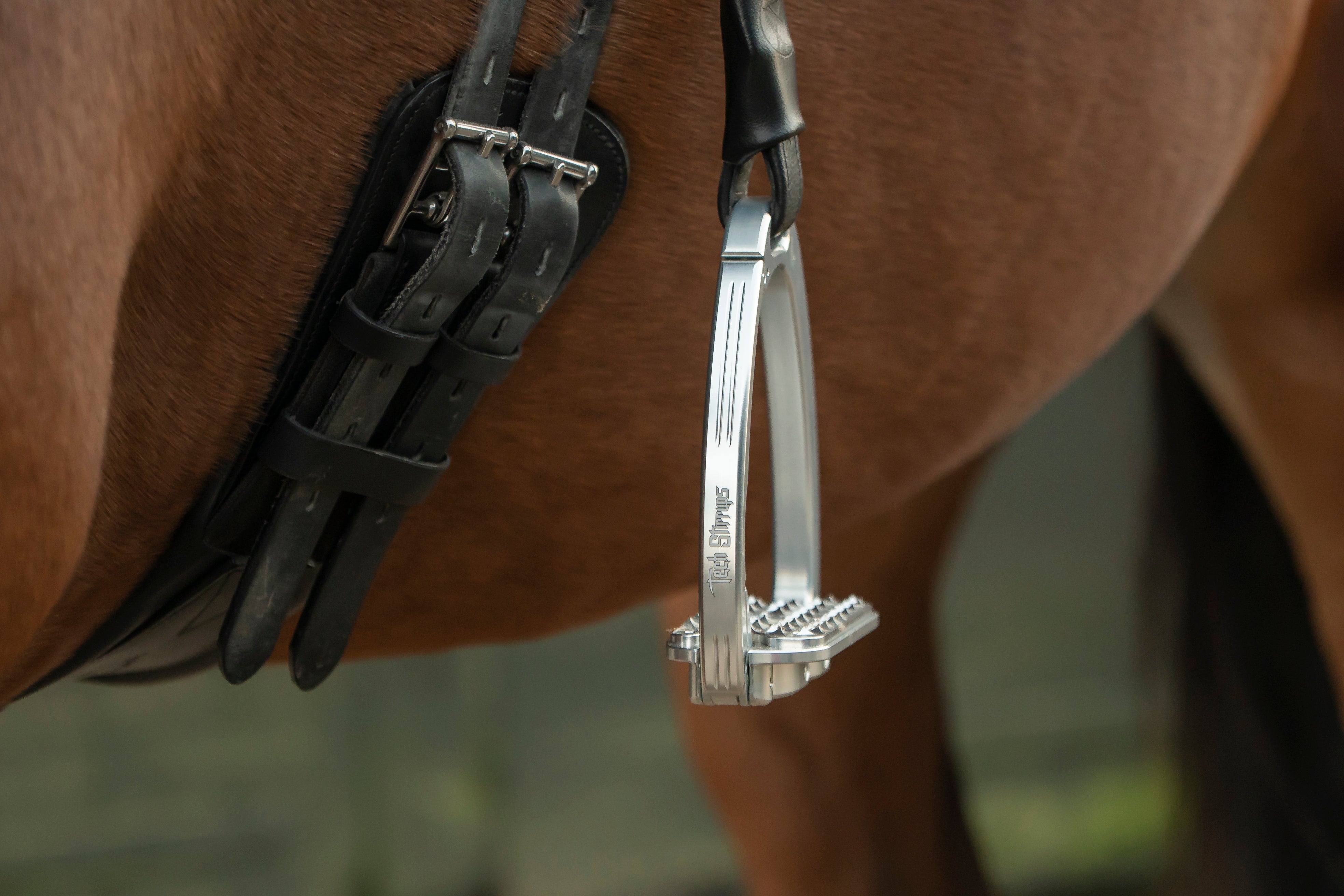 Tech Stirrups – Innovation und Sicherheit für jede Disziplin
