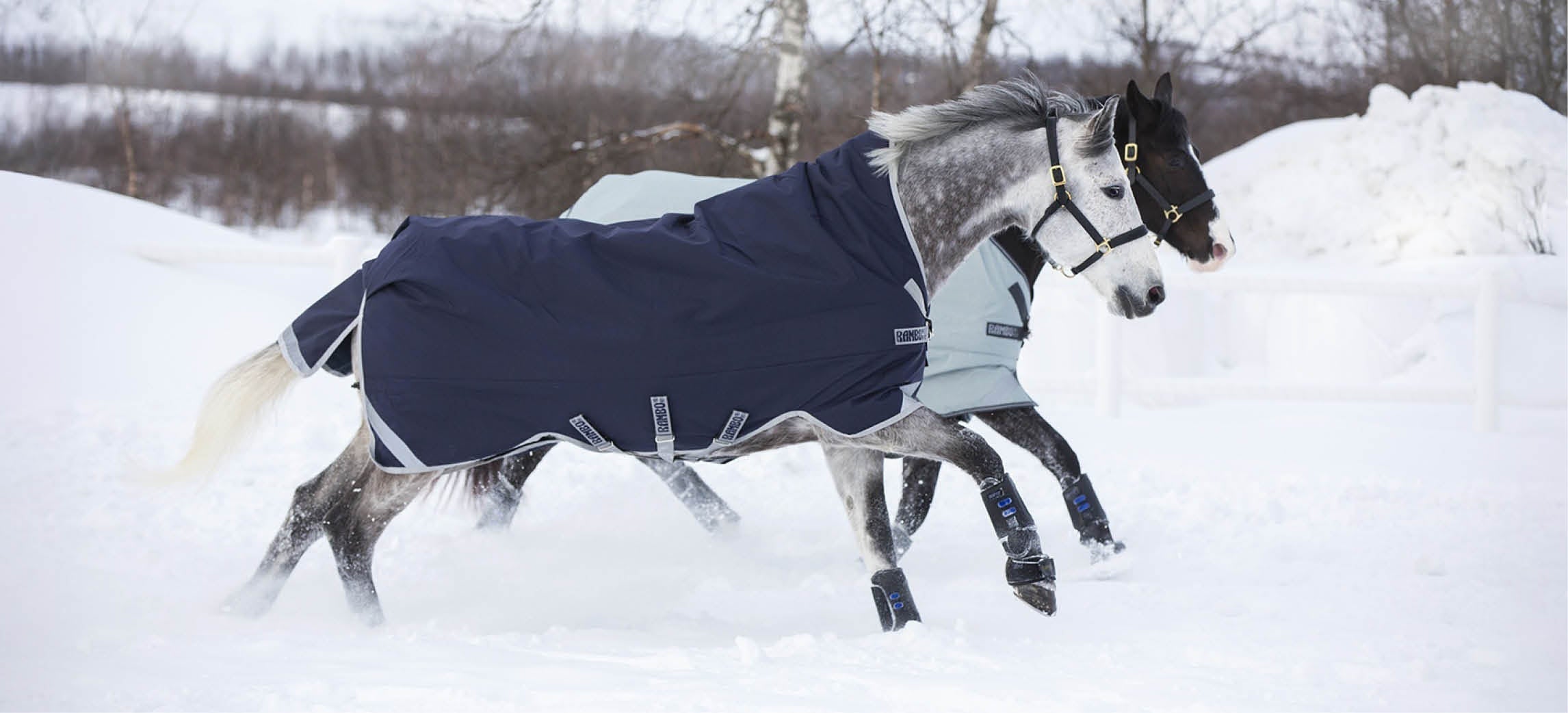 Winterdecken-Guide: Welche Winterdecke braucht mein Pferd?