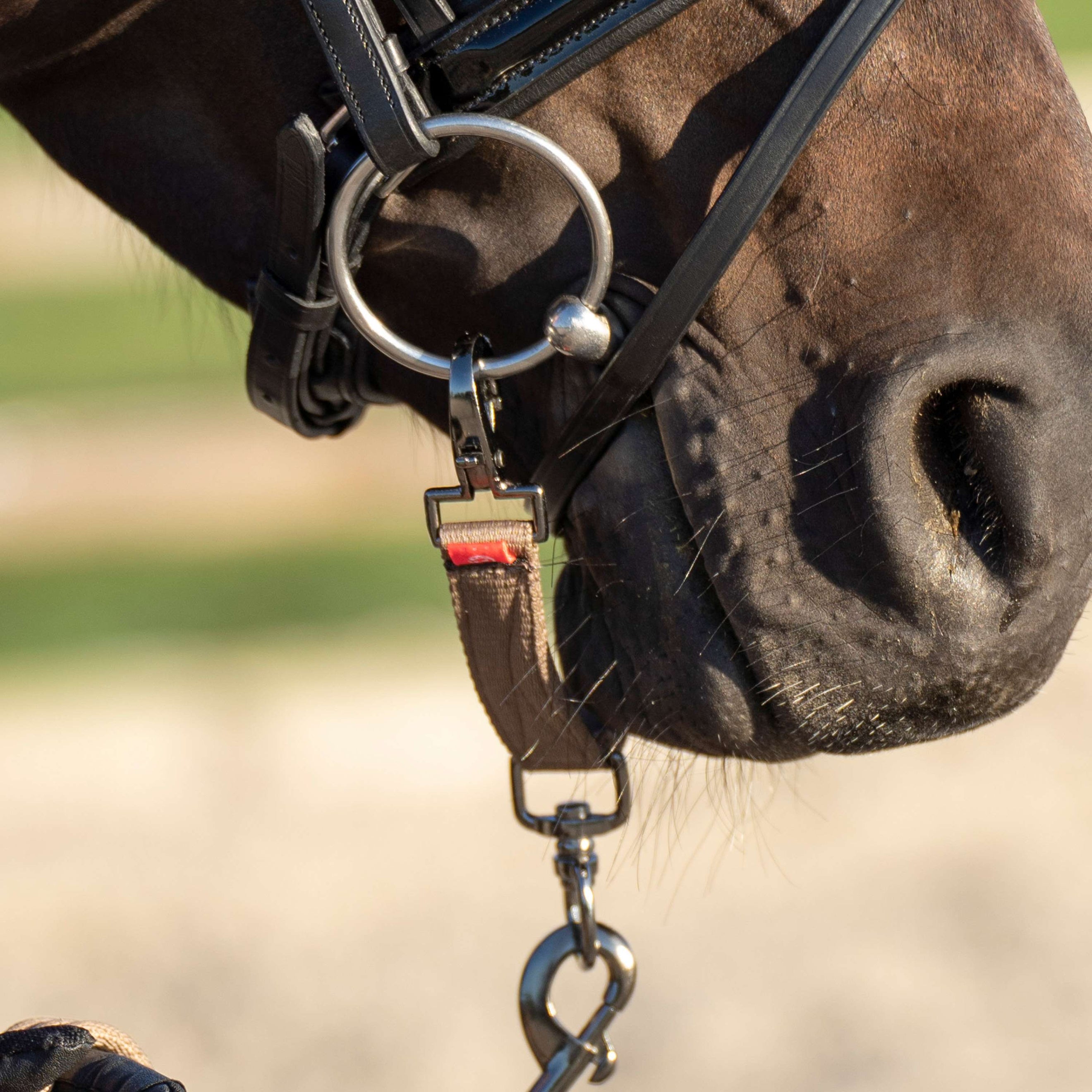 Imperial Riding Longiergebissstück IRH Cappuccino Imperial Riding Longiergebissstück IRH Cappuccino