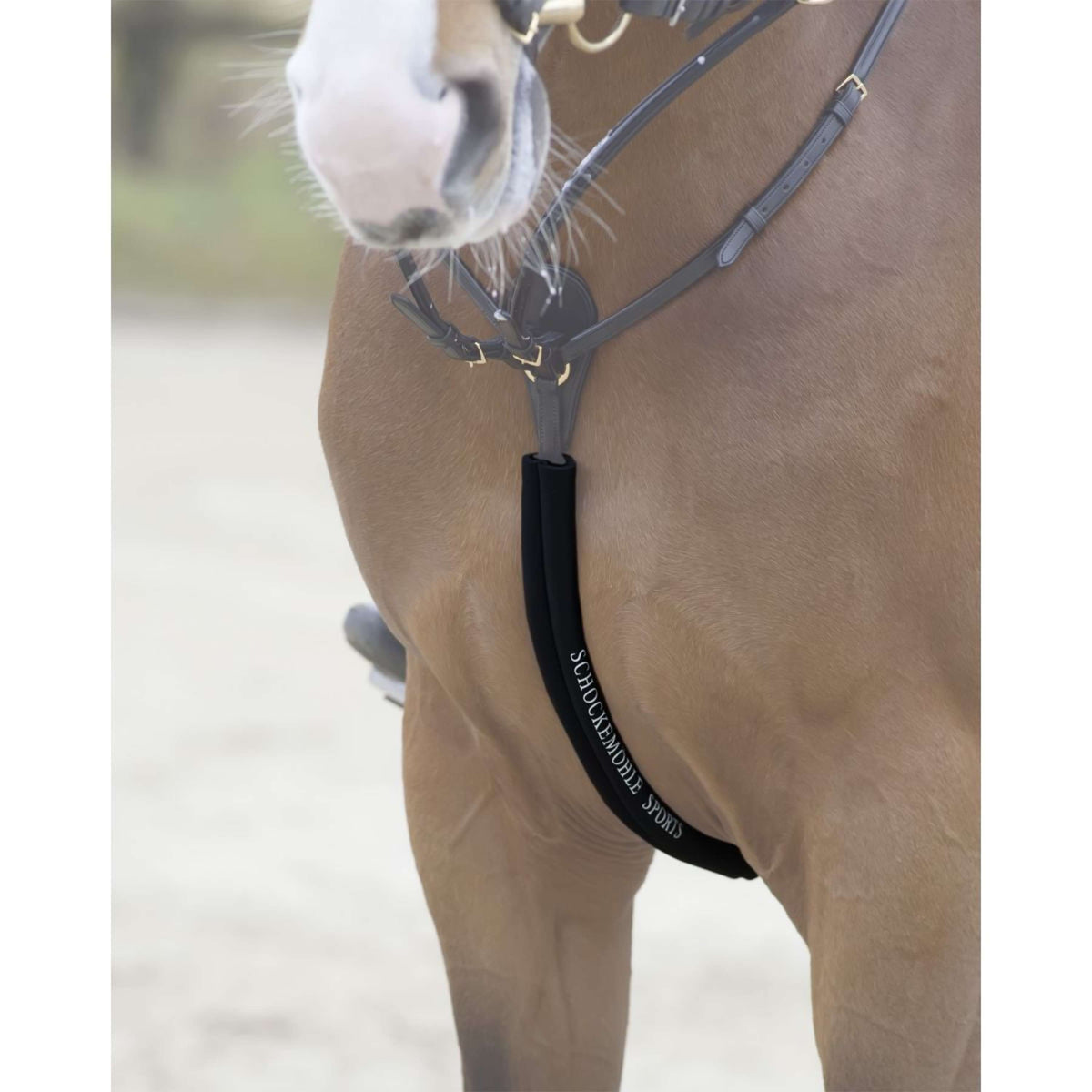 Schockemöhle Body Guard Vorderzeug Schwarz