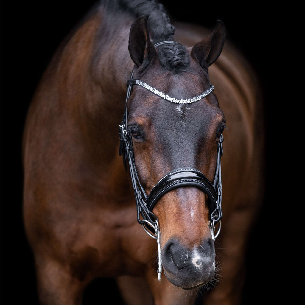 Imperial Riding Kandarenzaum IRHOlympia Schwarz/Silber