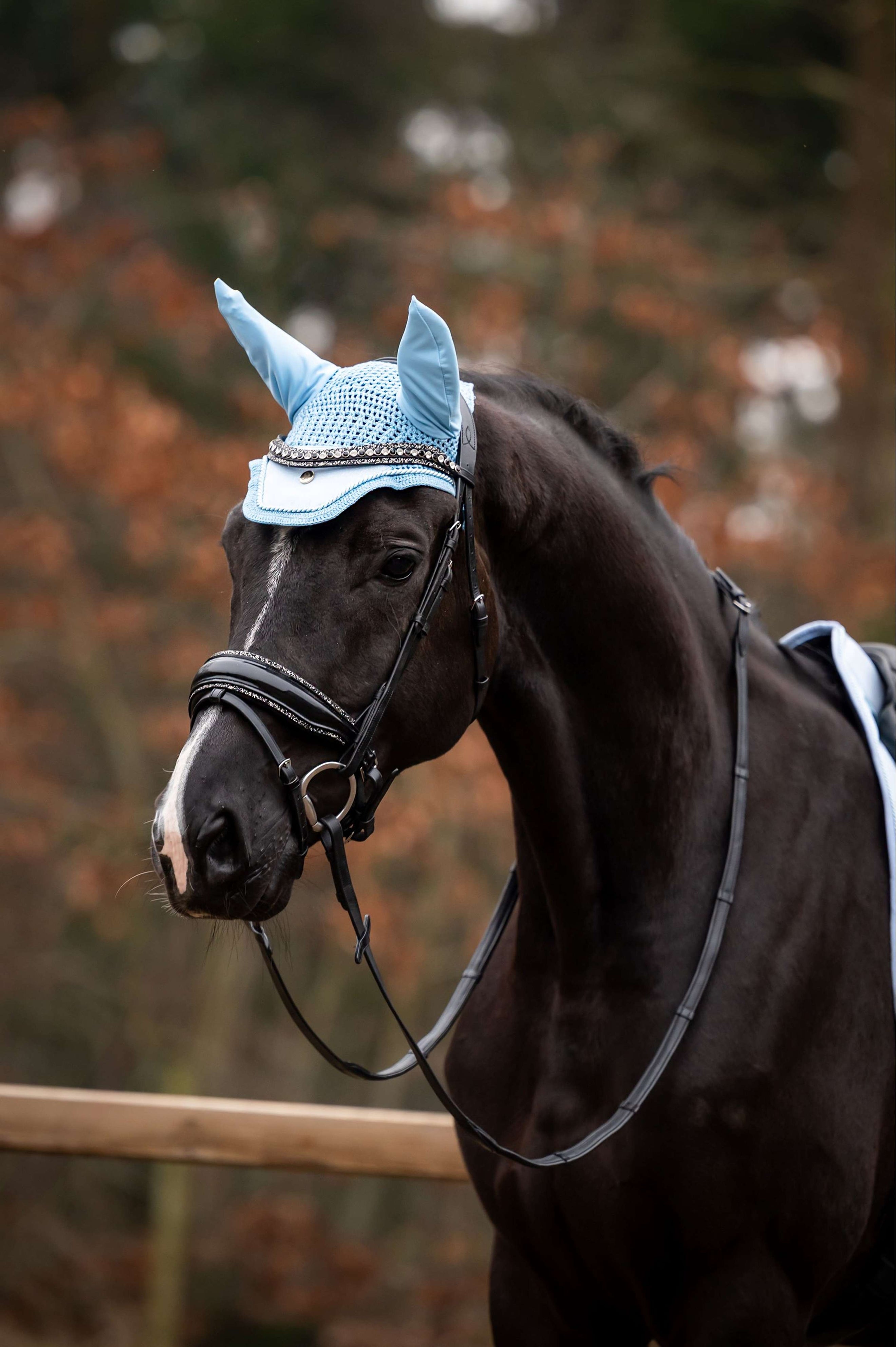 Showtime Fliegenhaube Spring Hellblau Showtime Fliegenhaube Spring Hellblau