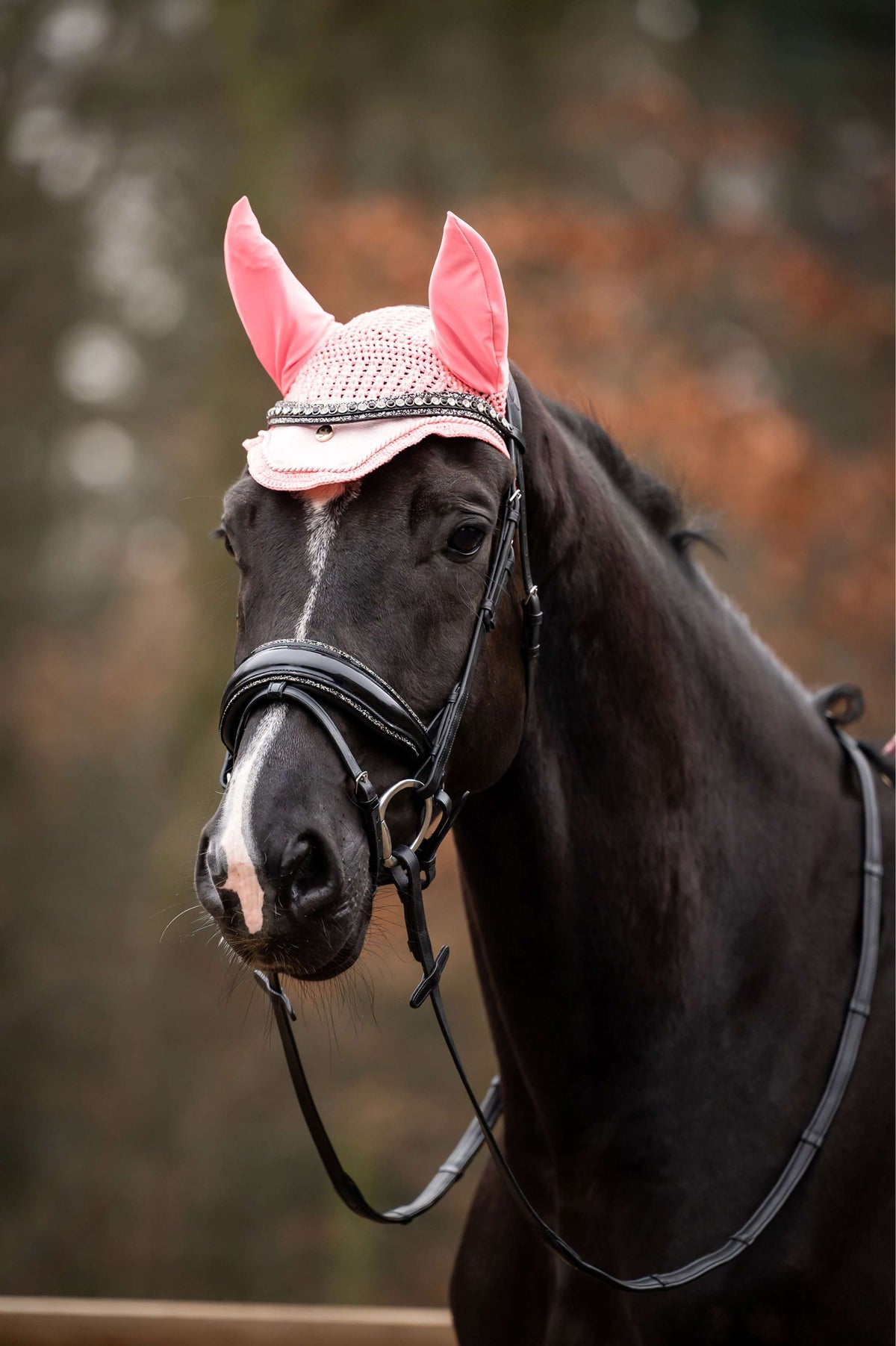 Showtime Fliegenhaube Spring Rosa