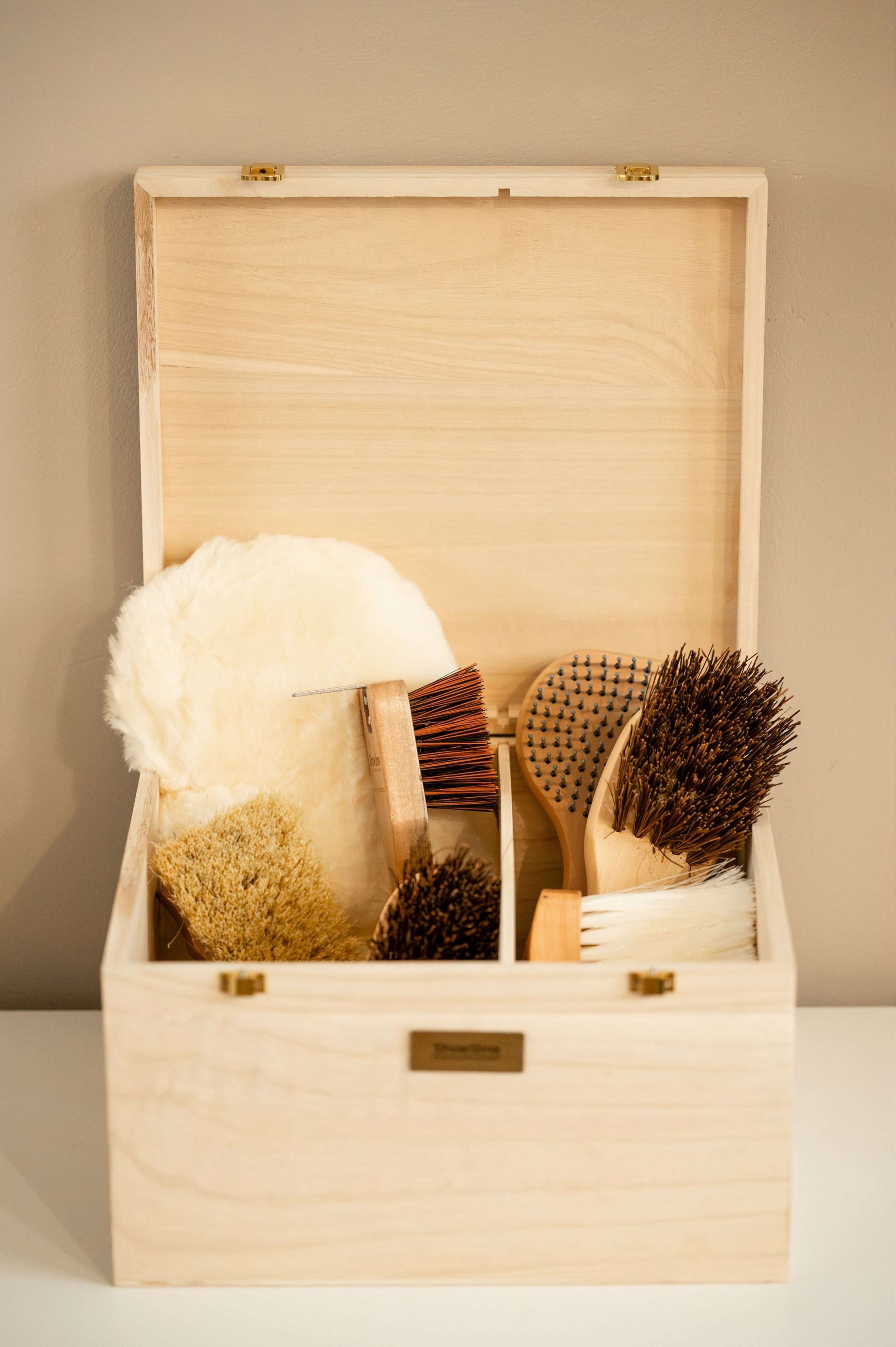 Showtime Putzkiste Luxe met borstels Beige