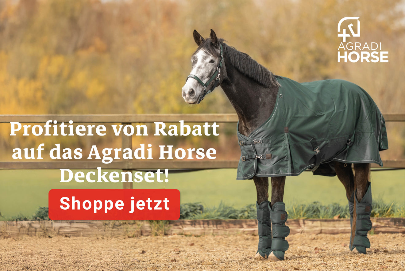 Agradi Horse deken