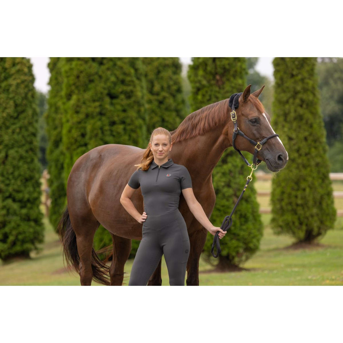 Covalliero Halfter Anniversary Graphite