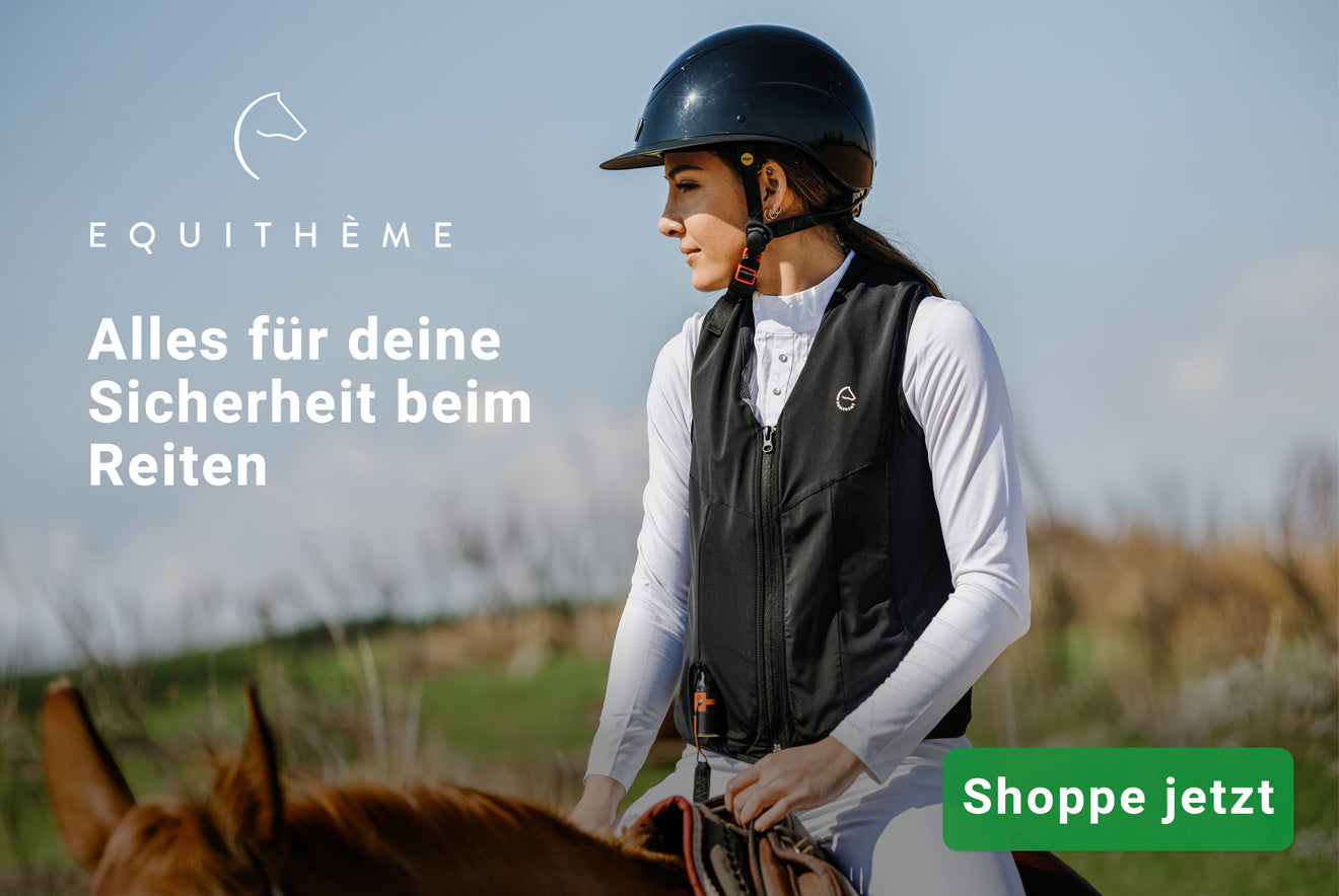 Equitheme veiligheid