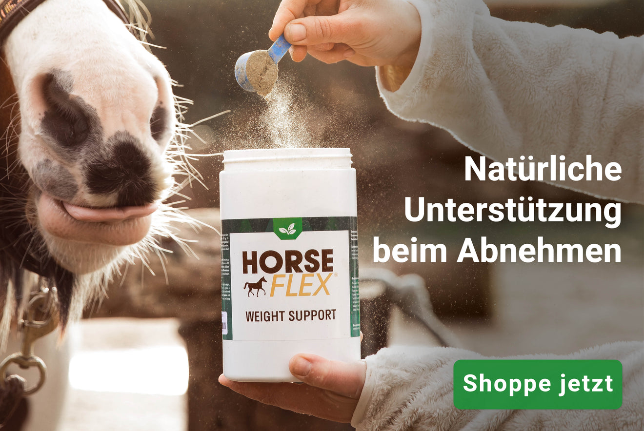 HorseFlex Weight Support