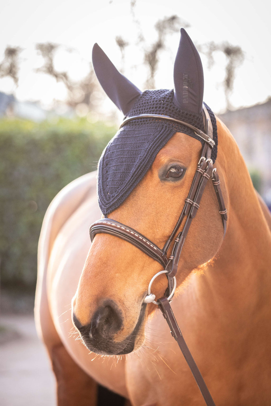 Paddock Fliegenhaube Long Soundless Navy