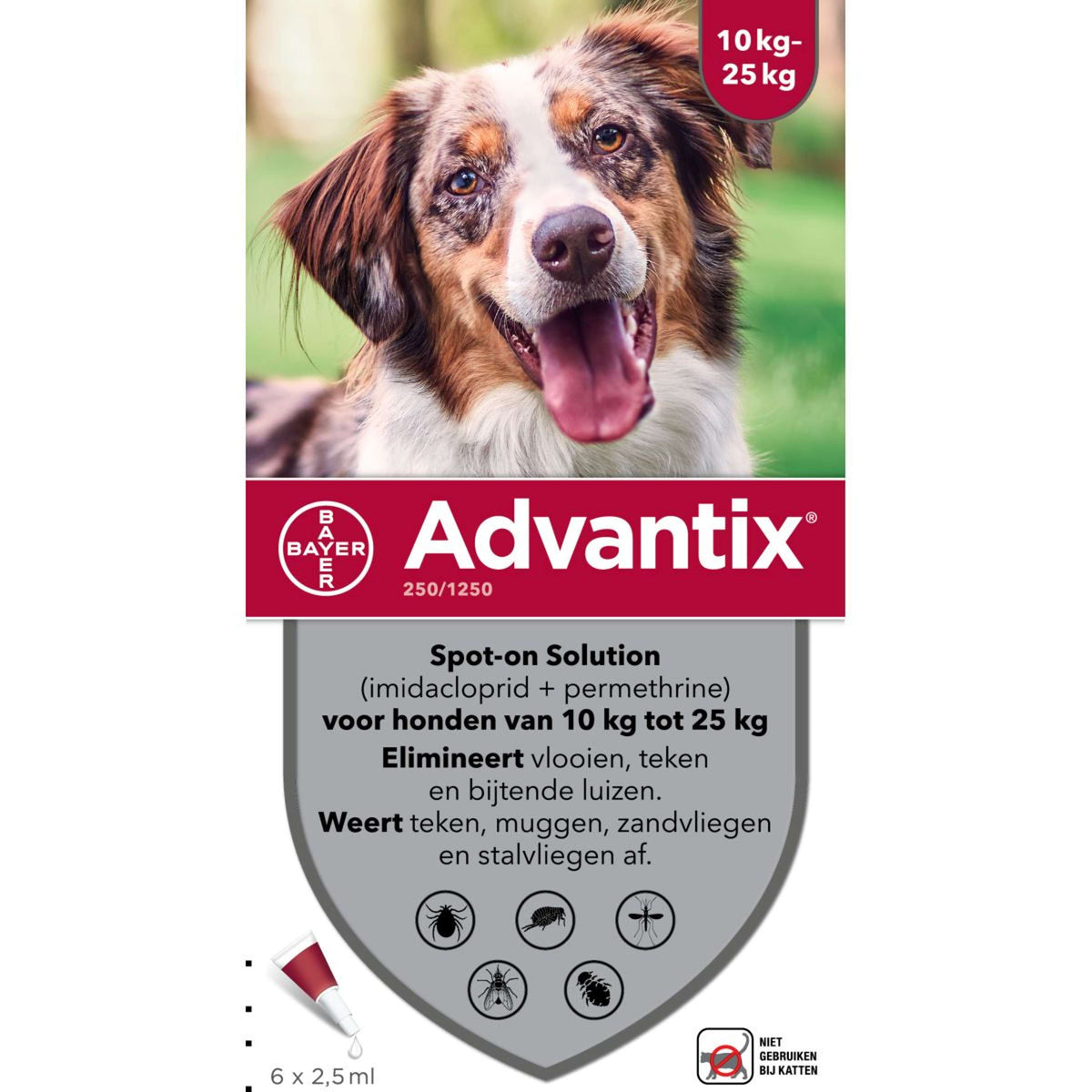 Advantix 250/1250 Spot-On Hund 10-25kg