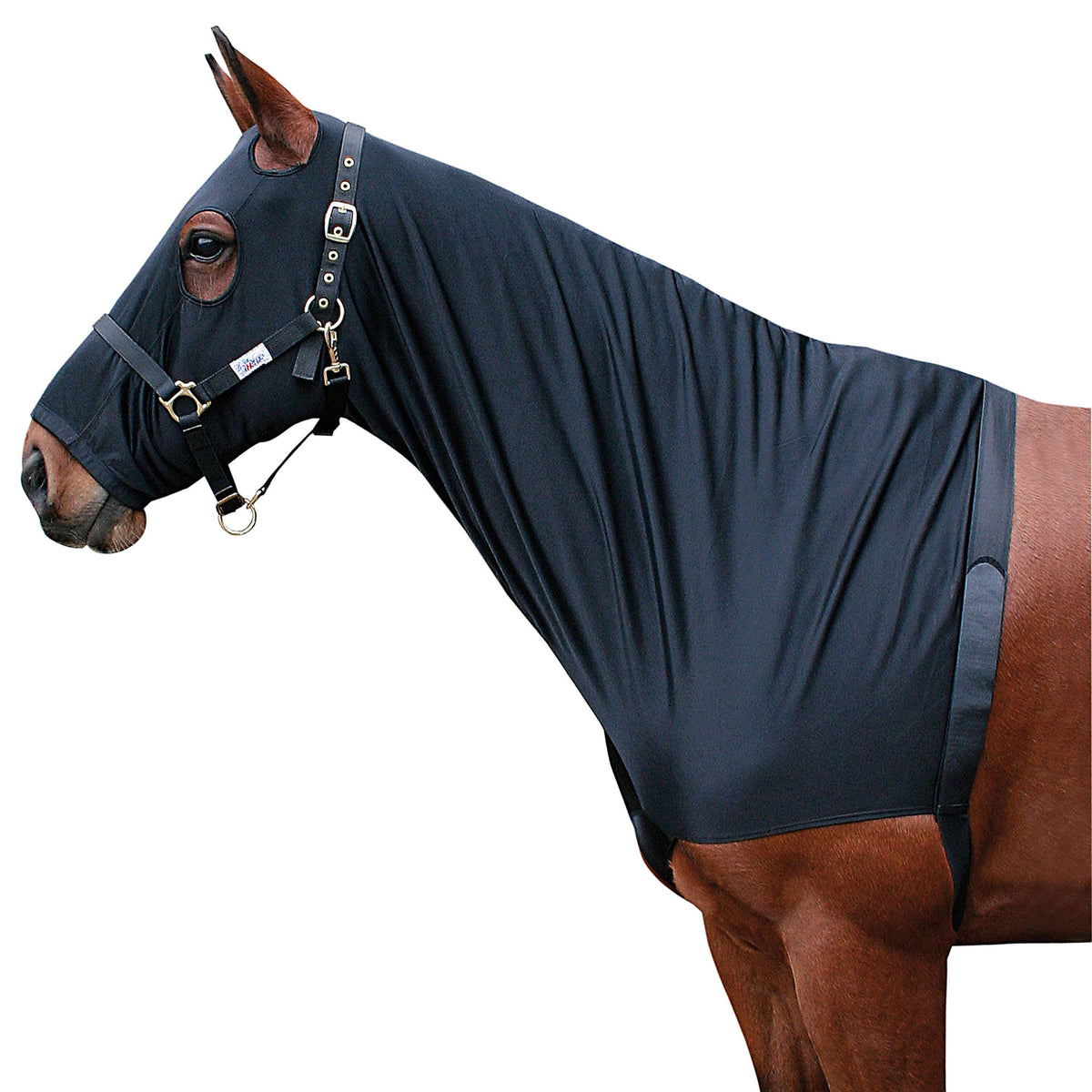 Harry's Horse Lycra Schulterschutz Hooded Schwarz