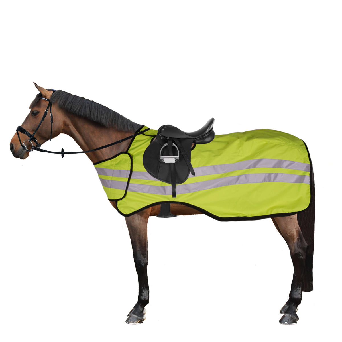 Harry's Horse Gamaschen Diamond Lack - Farbe: schwarz - Größe: XL Harry's Horse Gamaschen Diamond Lack - Farbe: schwarz - Größe: XL