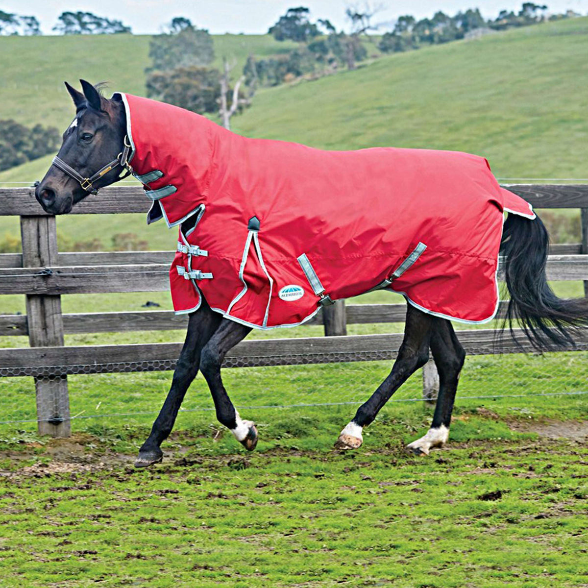 Weatherbeeta Combo Neck Medium Turnout Rug Comfitec Classic 220g Red/Silver/Navy