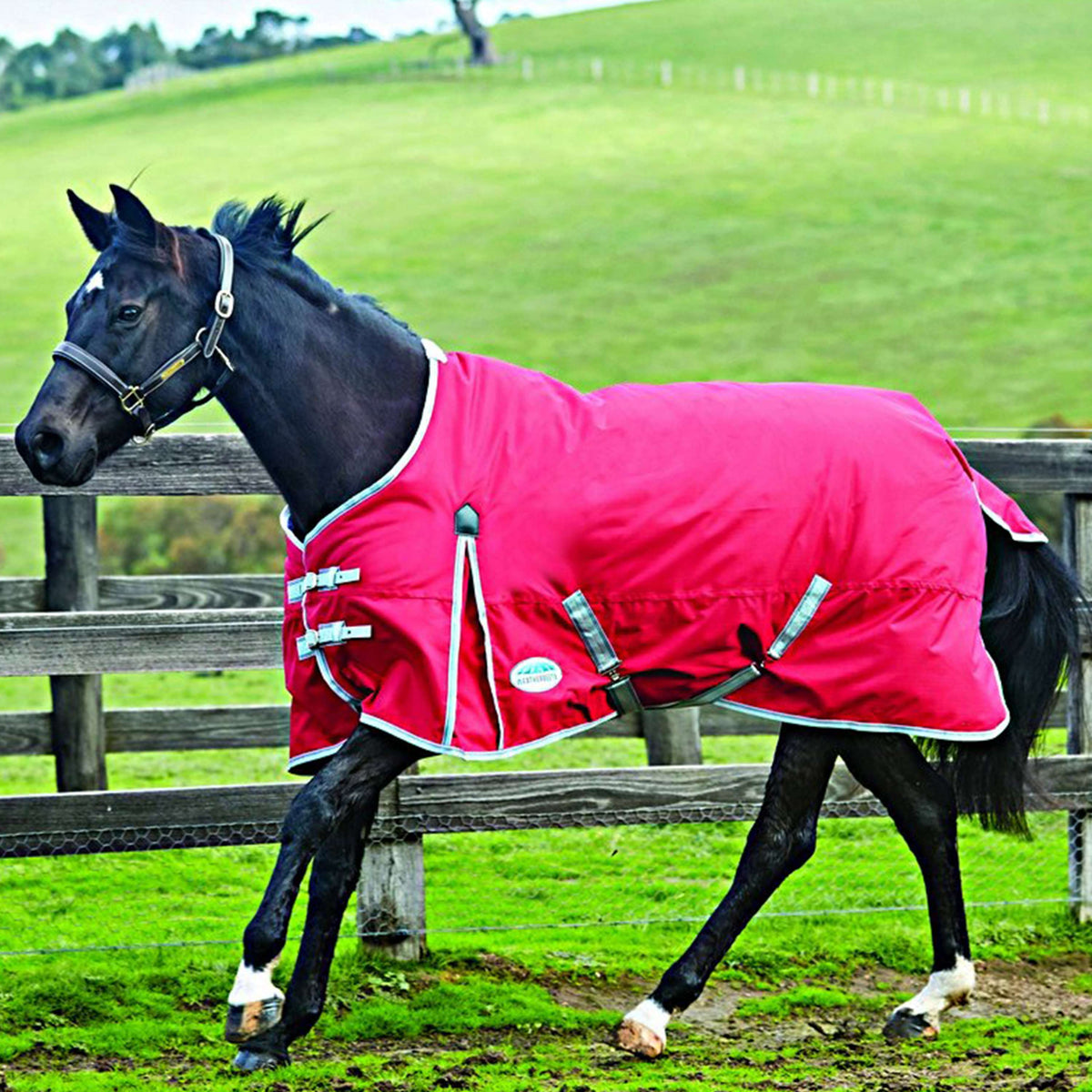 Weatherbeeta Lite Turnout Rug Comfitec Classic Standard Neck 0g Red/Silver/Navy