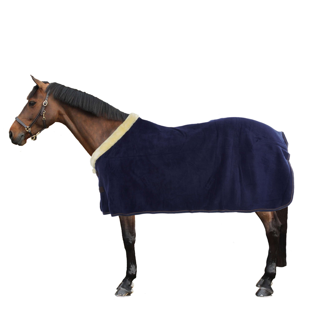 Kentucky Abschwitzdecke Show Fleece Heavy Navy