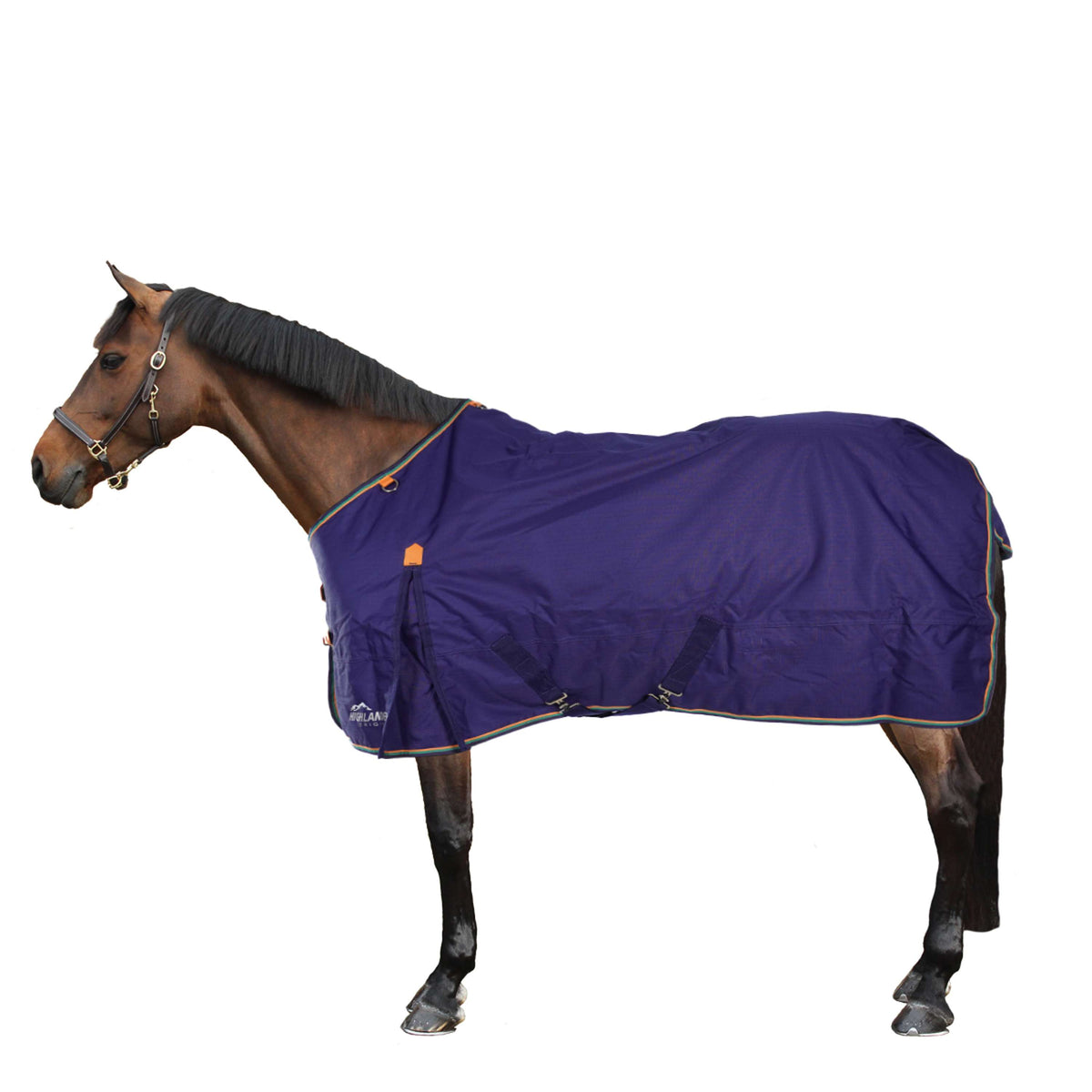 Highlander Original Winterdecke Turnout 100g Navy