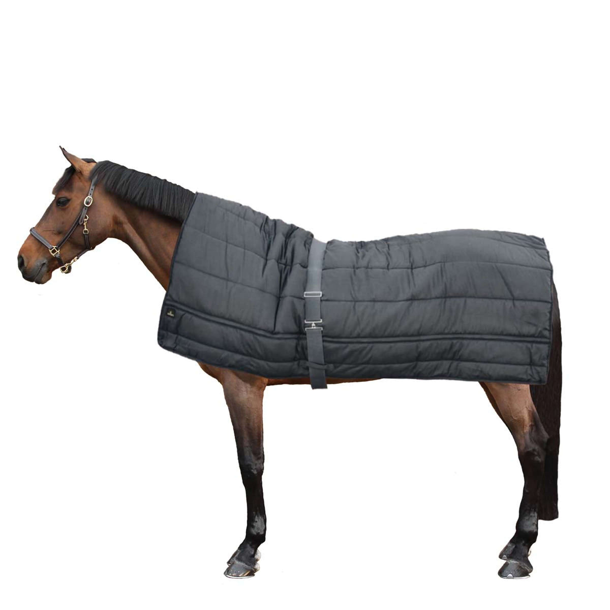 Kentucky Decke Horse Duvet 300g Schwarz