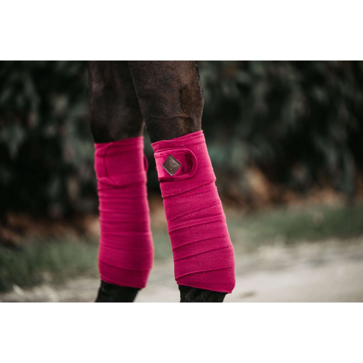 Kentucky Bandagen Polar Fleece Velvet Fuchsia