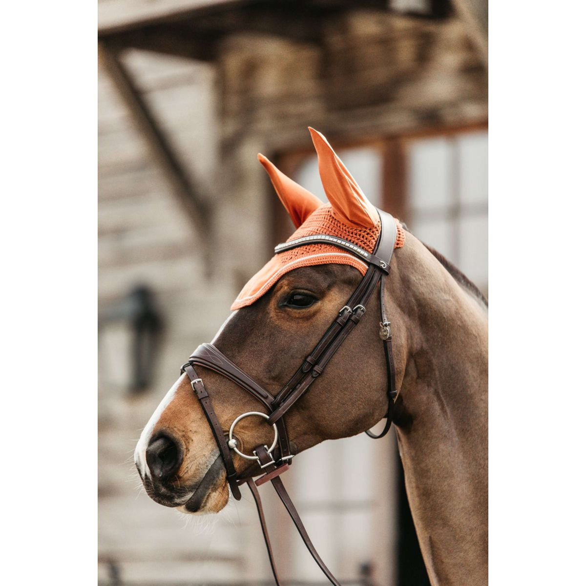 Kentucky Fliegenhaube Wellington Velvet Orange