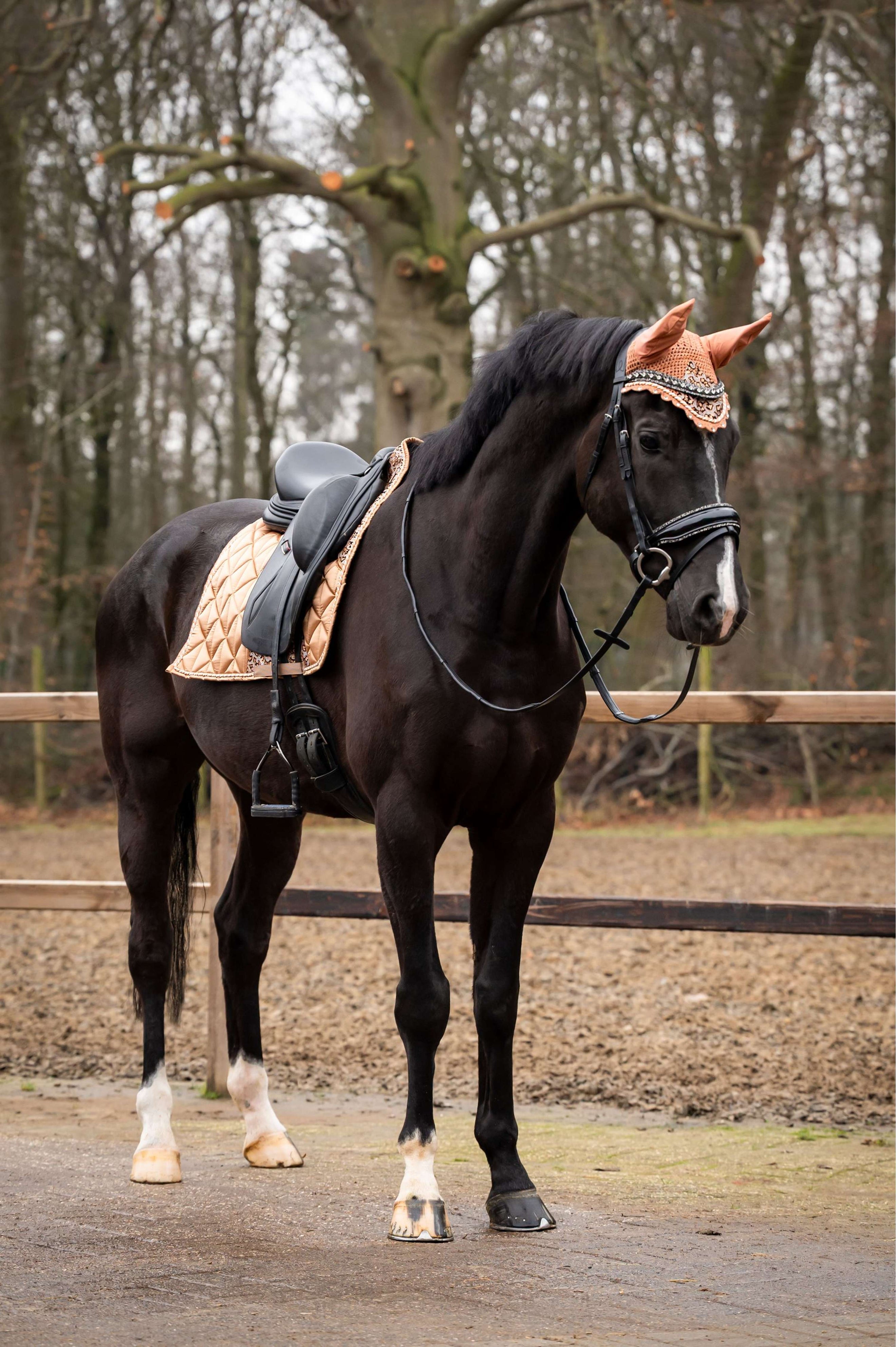 Showtime Schabracke Rio Dressur Beige