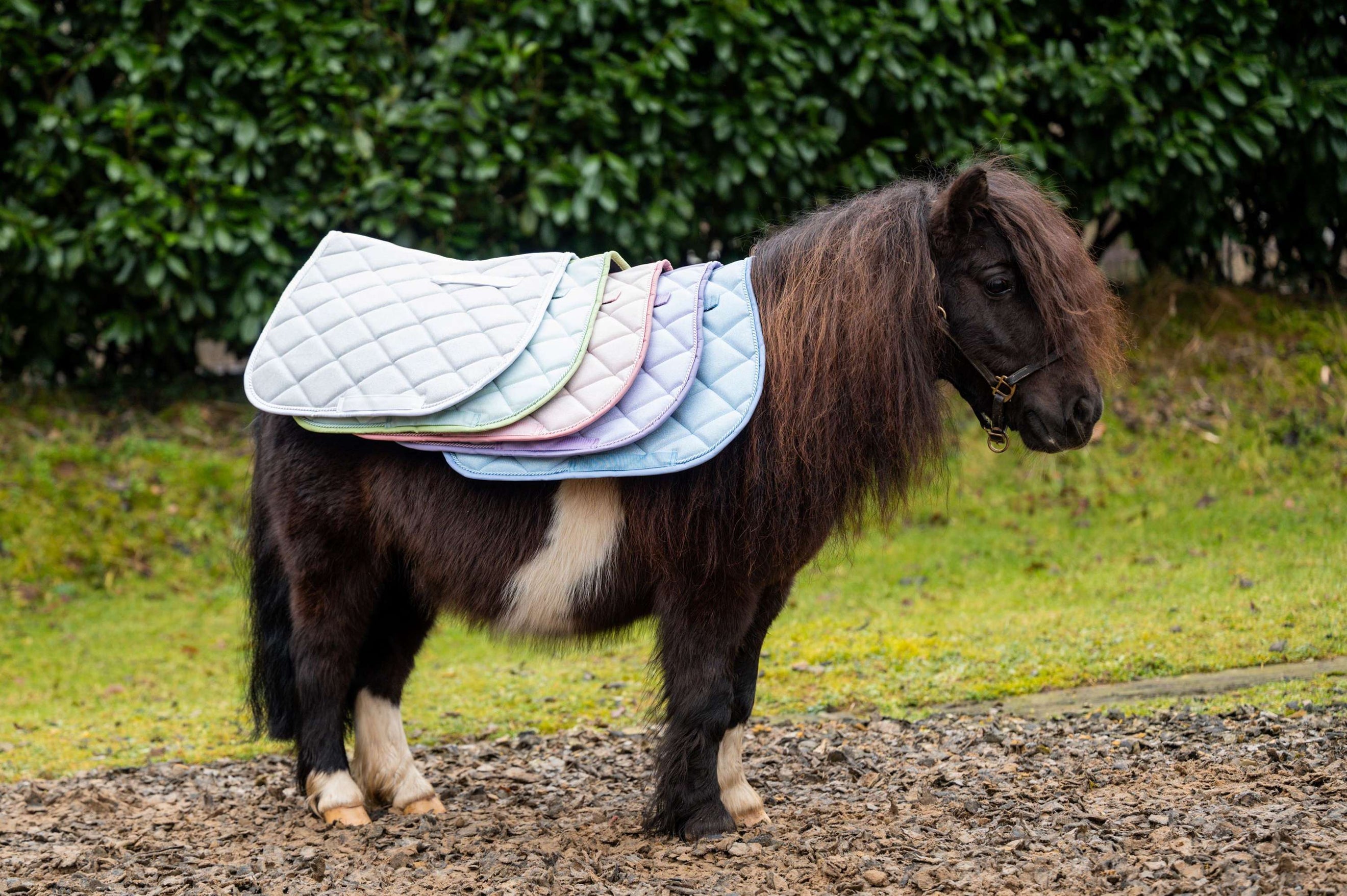 HB Schabracke Spring Vielseitigkeit Hellblau HB Schabracke Spring Vielseitigkeit Hellblau