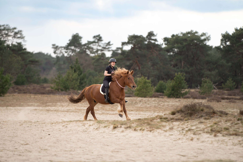 Imperial Riding Knotenhalfter IRHFree Ride Schwarz