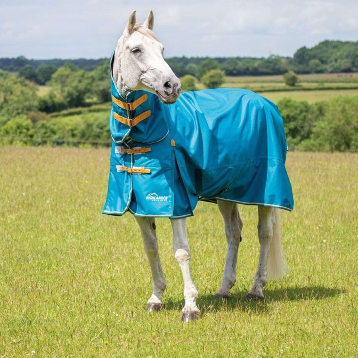 Shires Turnout Lite Combo 0g Teal