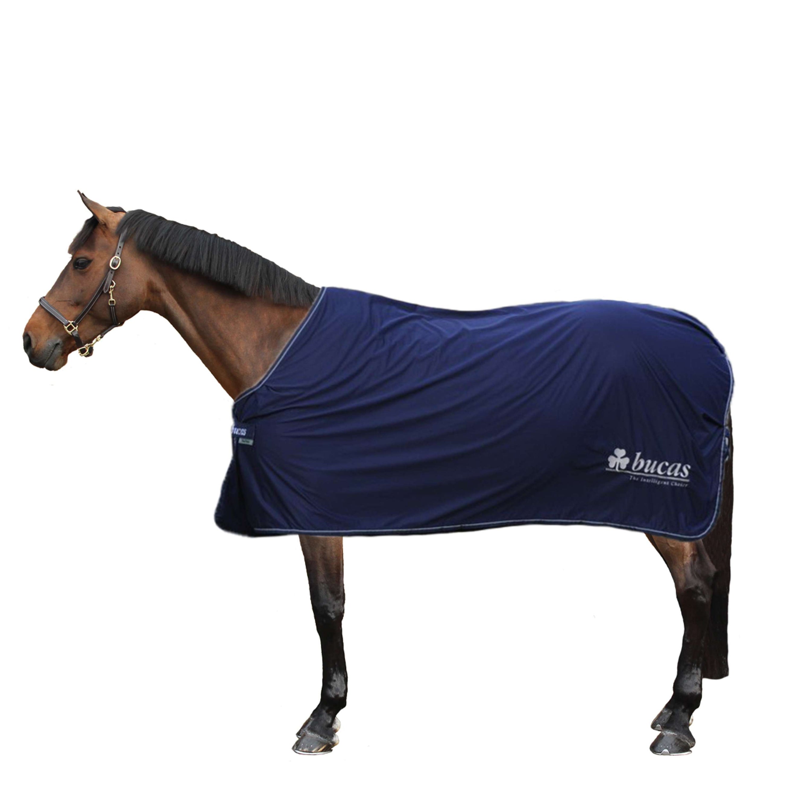 Bucas Prize Cooler Navy/silber Bucas Logo Bucas Prize Cooler Navy/silber Bucas Logo