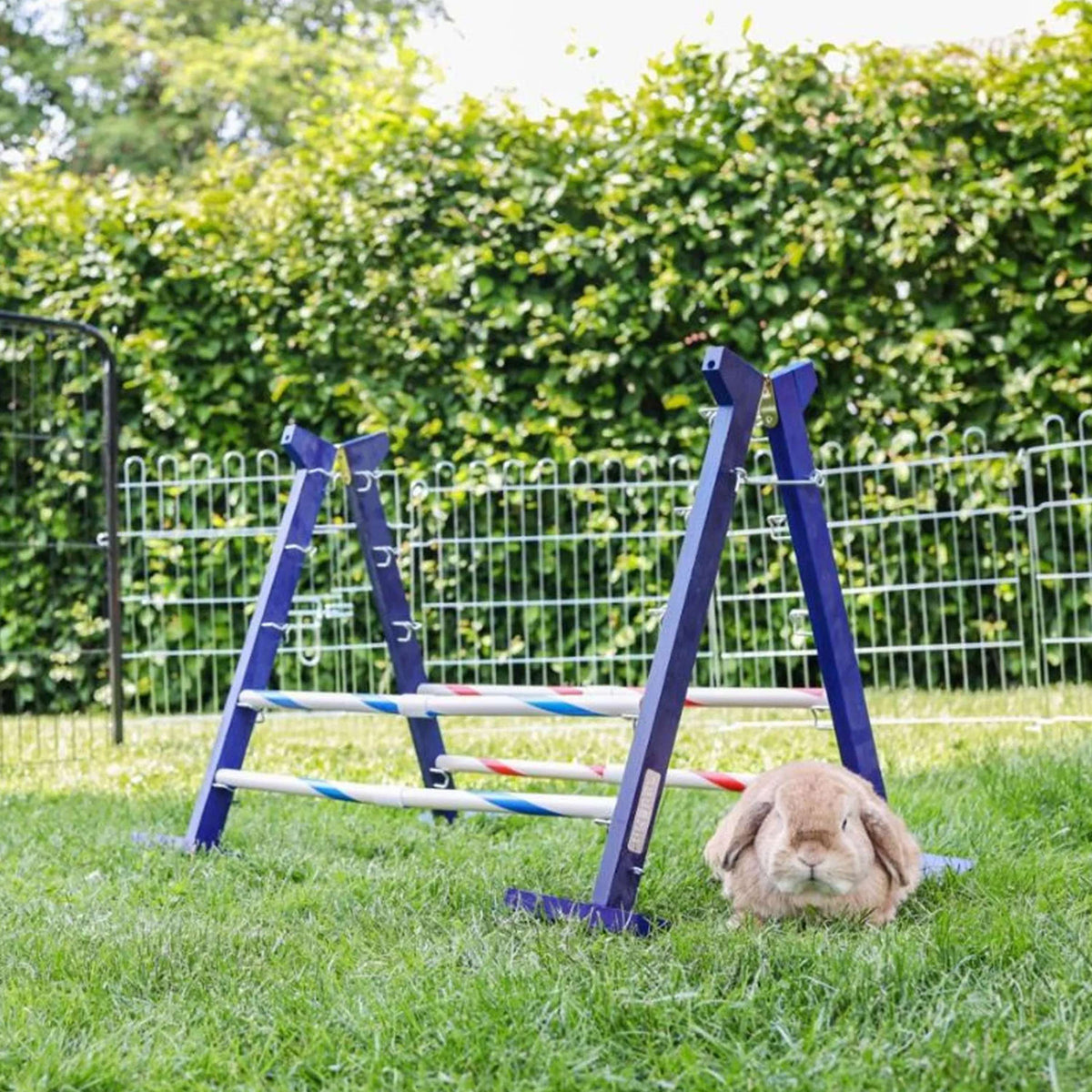 Kerbl Agility Kombisprung für Nager 2