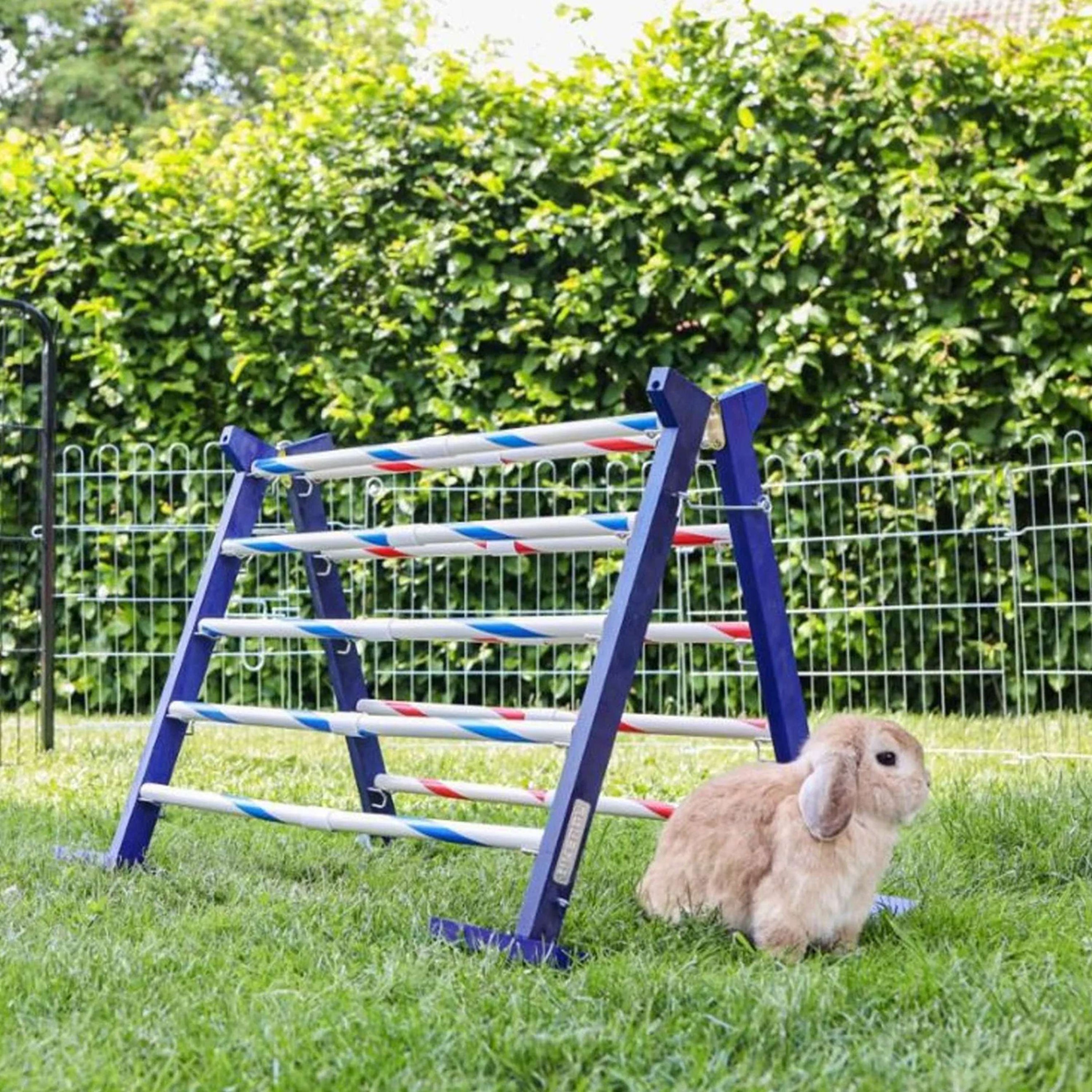 Kerbl Agility Kombisprung für Nager 2