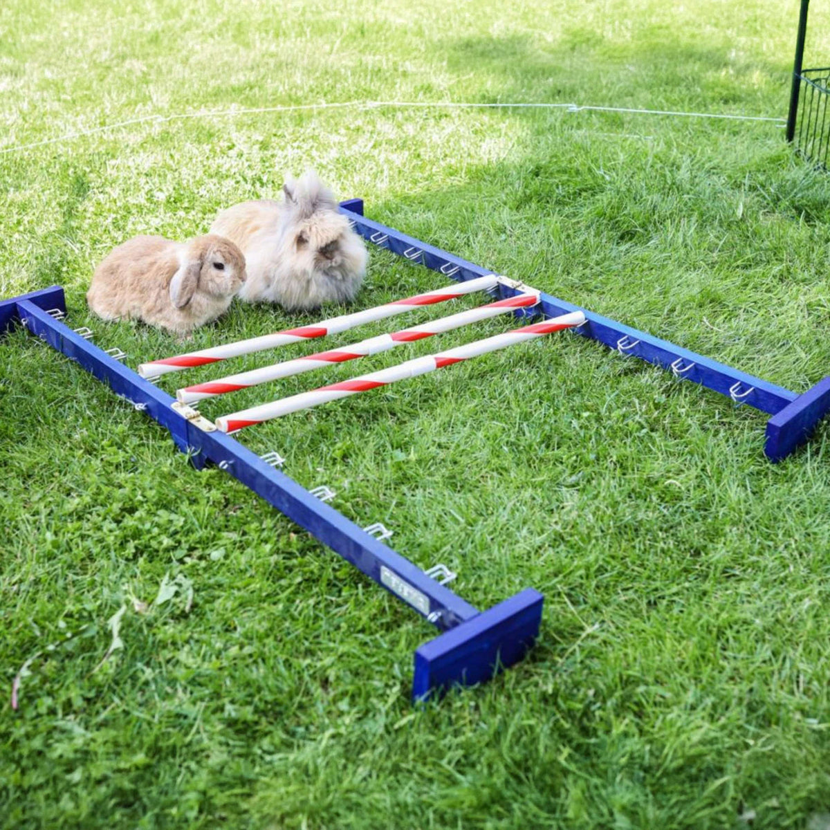 Kerbl Agility Kombisprung für Nager 2