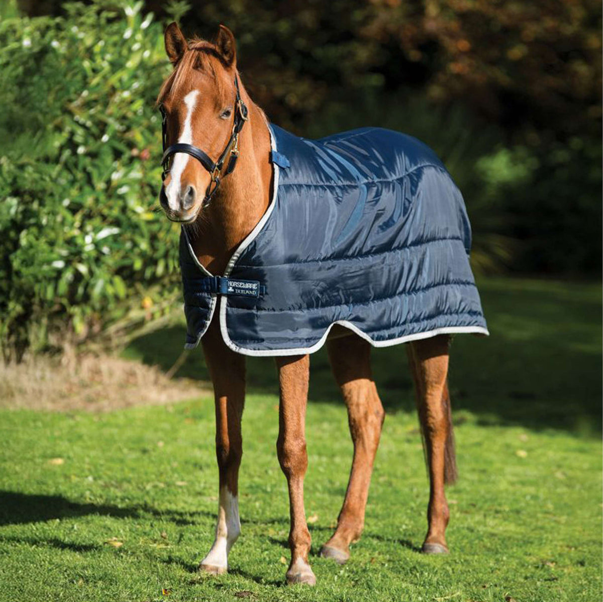 Horseware Pony Medium 200g Navy/Silber