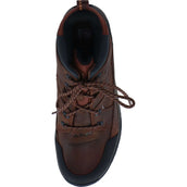 Ariat Stallschuhe Telluride II H2O D Kupfer