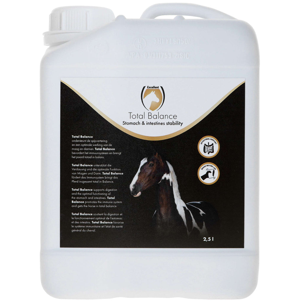 Excellent Equi Total Balance