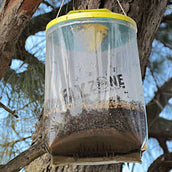 Insective Fliegenbeutel XL