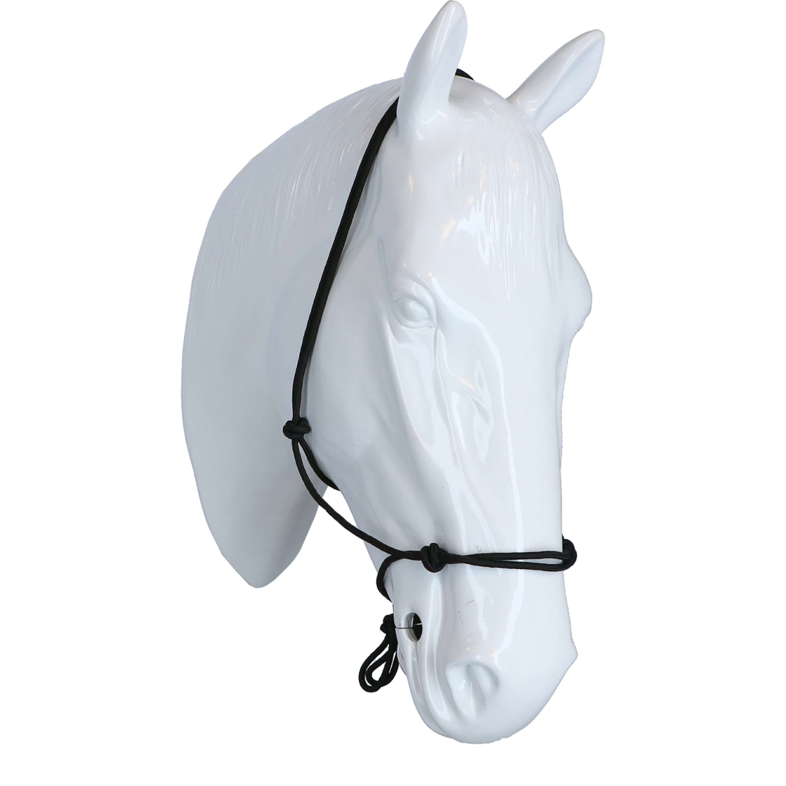 Riding World Halfter Fine Ethologisch Schwarz