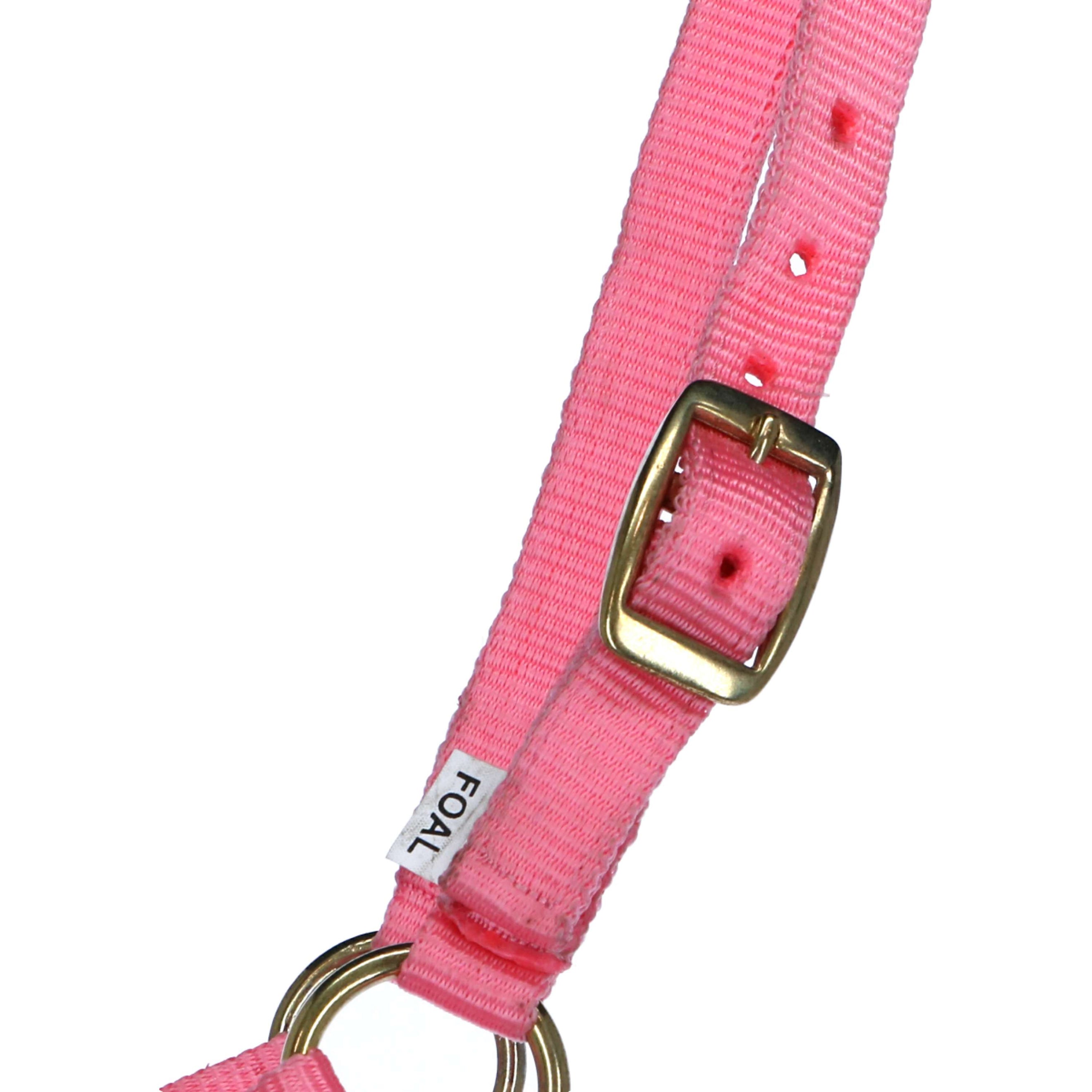 Norton Fohlenhalfter mit Leine Rosa Norton Fohlenhalfter mit Leine Rosa