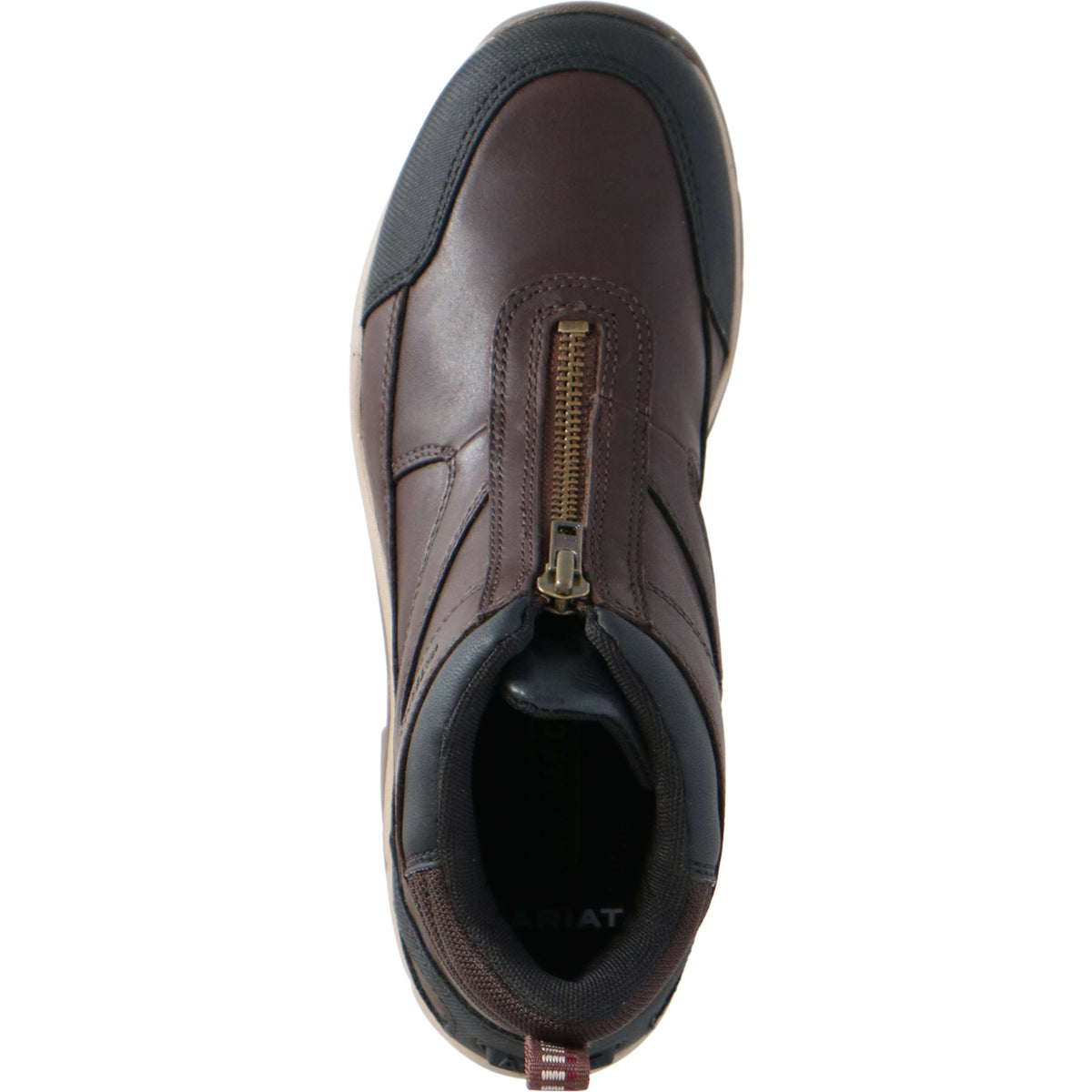 Ariat Stallschuhe Telluride Zip H2O Woman's Dunkel Braun