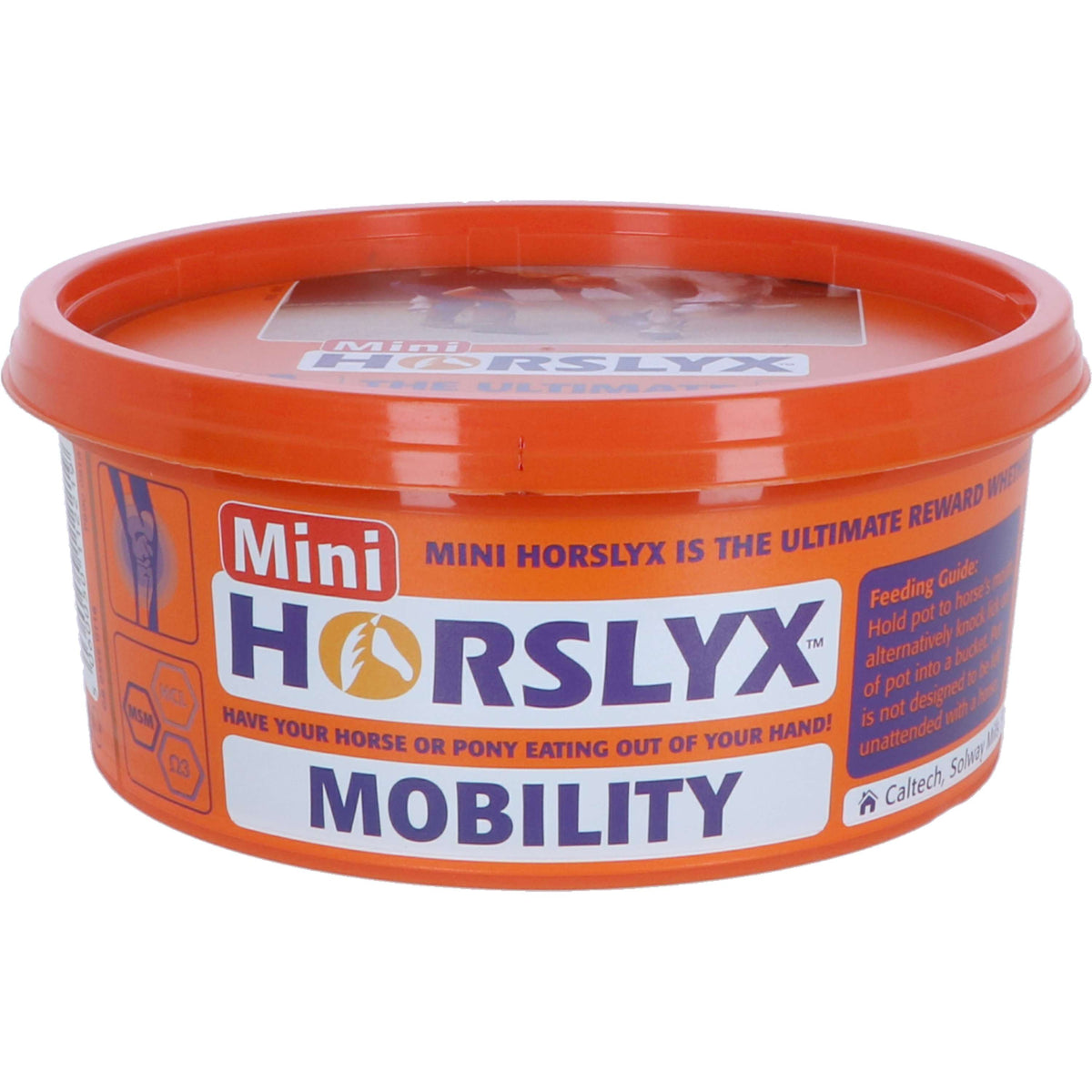 Horslyx Leckstein Mobility