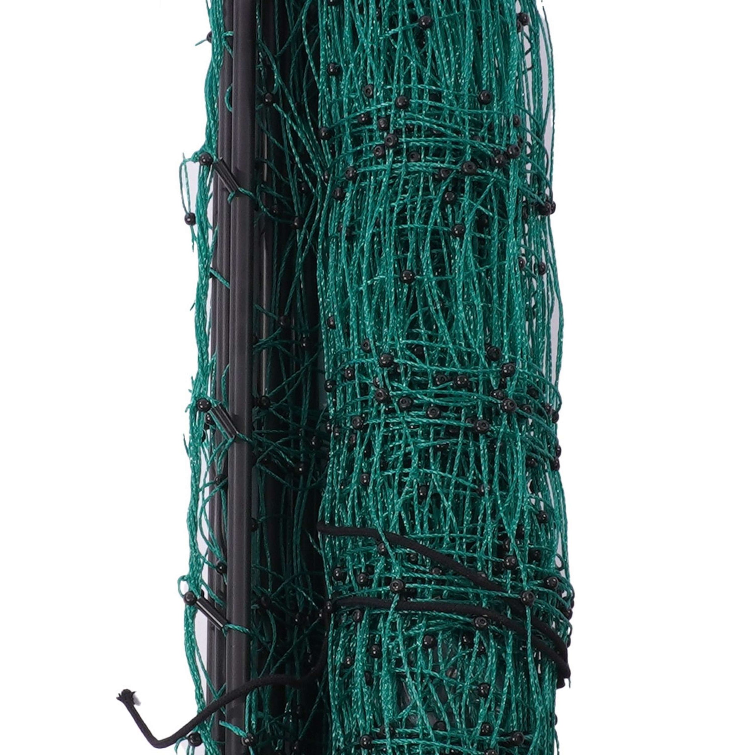 Ako Geflügelnetz Doppelspitze Grün Ako Geflügelnetz Doppelspitze Grün