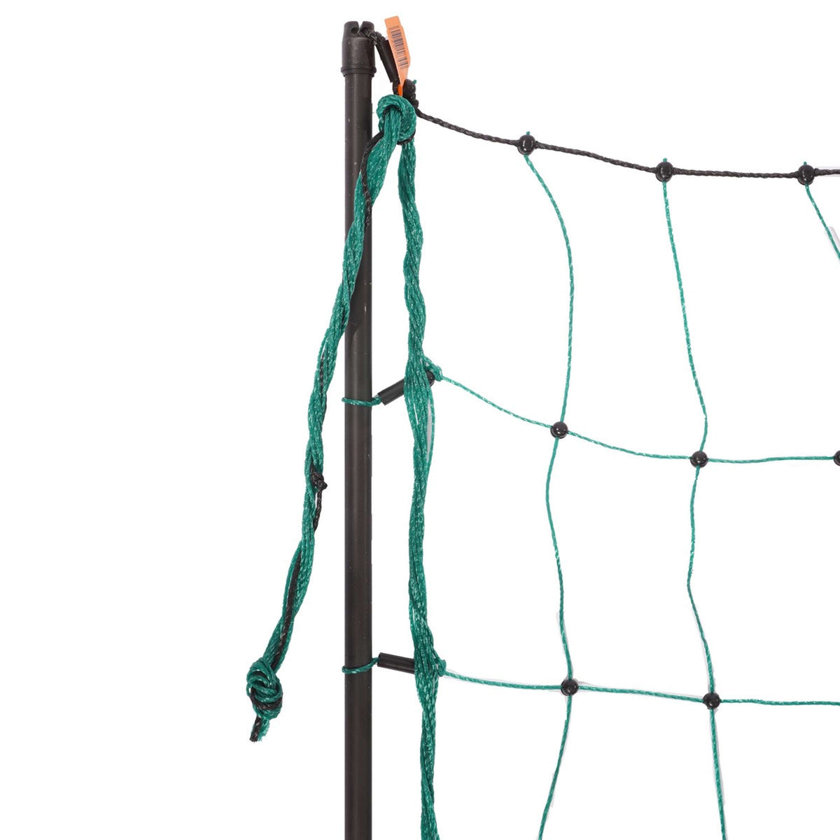 Ako Geflügelnetz Doppelspitze Grün