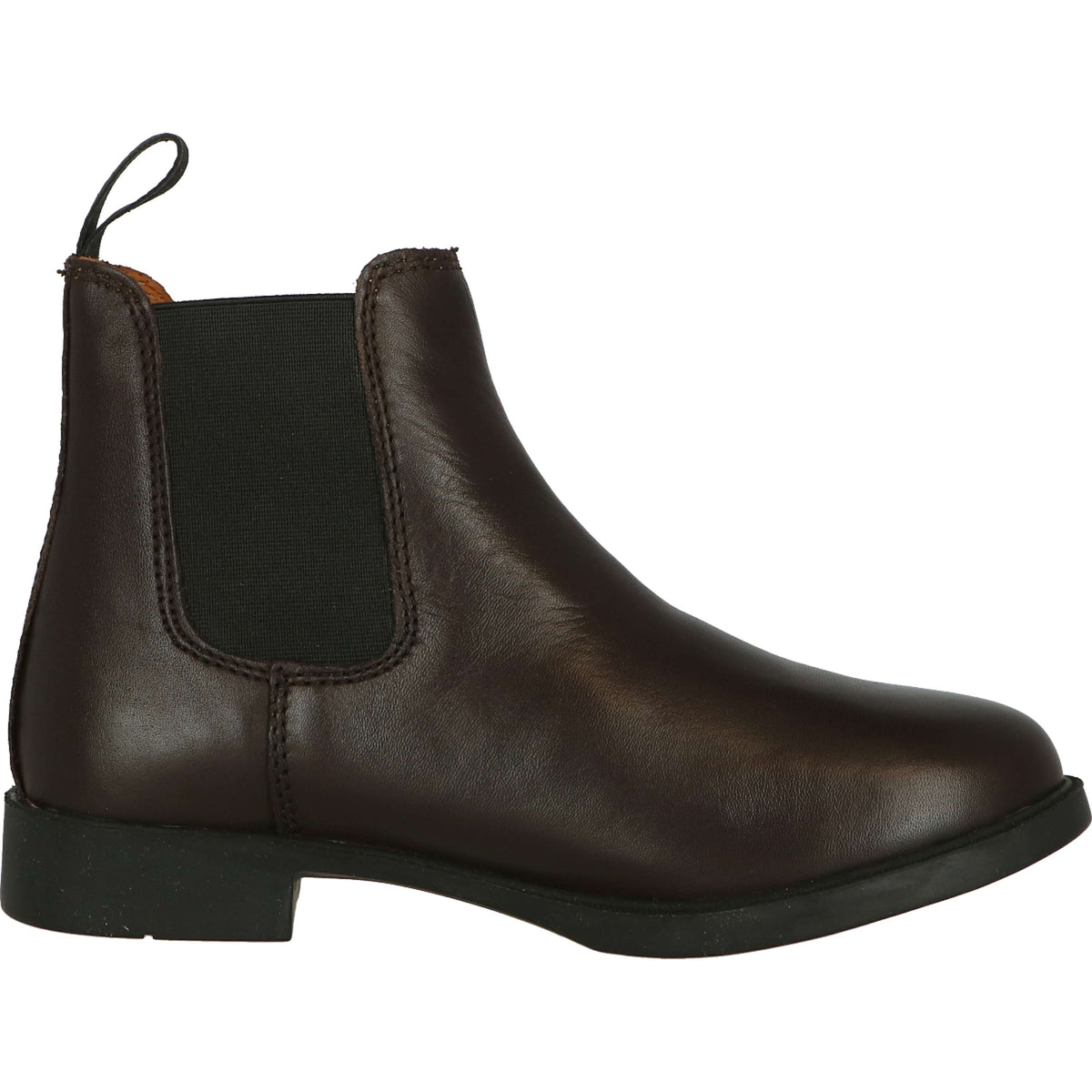 Suedwind Stiefeletten Chelsea Classic Braun