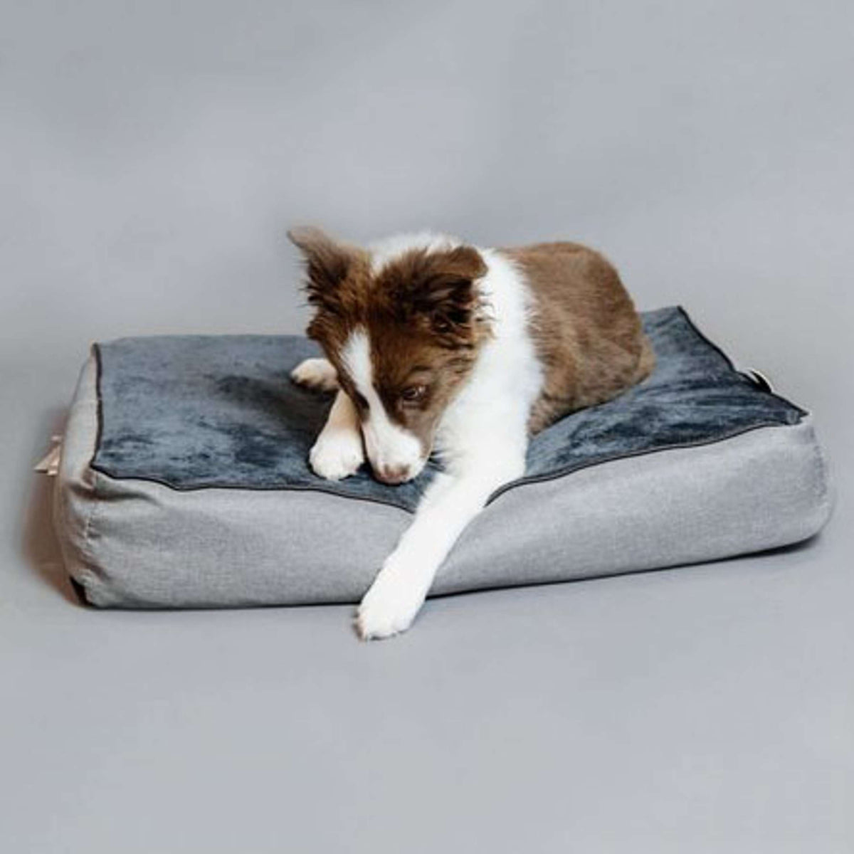 Kentucky Hundebett Soft Pillow