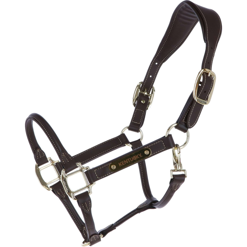 Kentucky Halfter Anatomisches Leder Braun