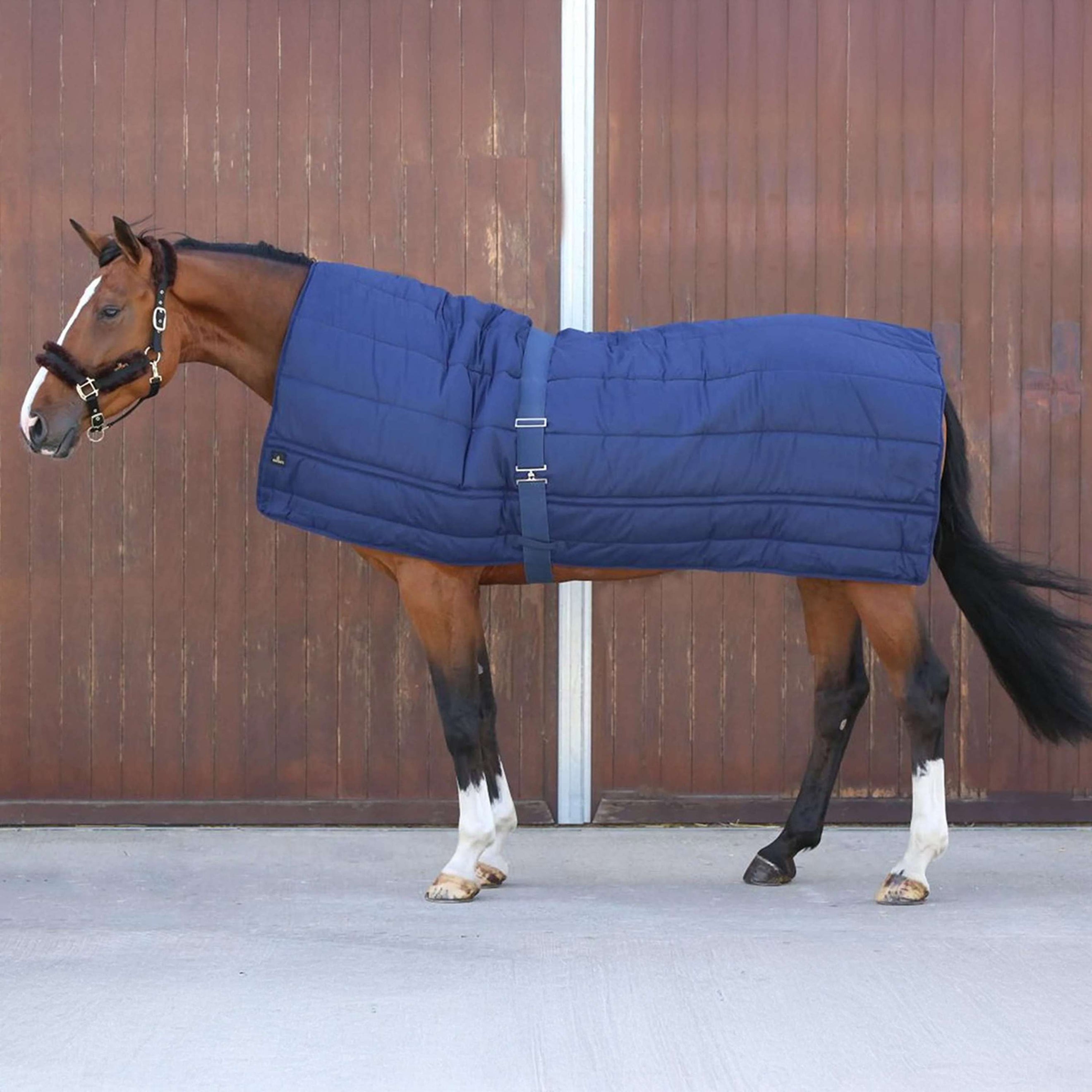 Kentucky Decke Horse Duvet 300g Navy