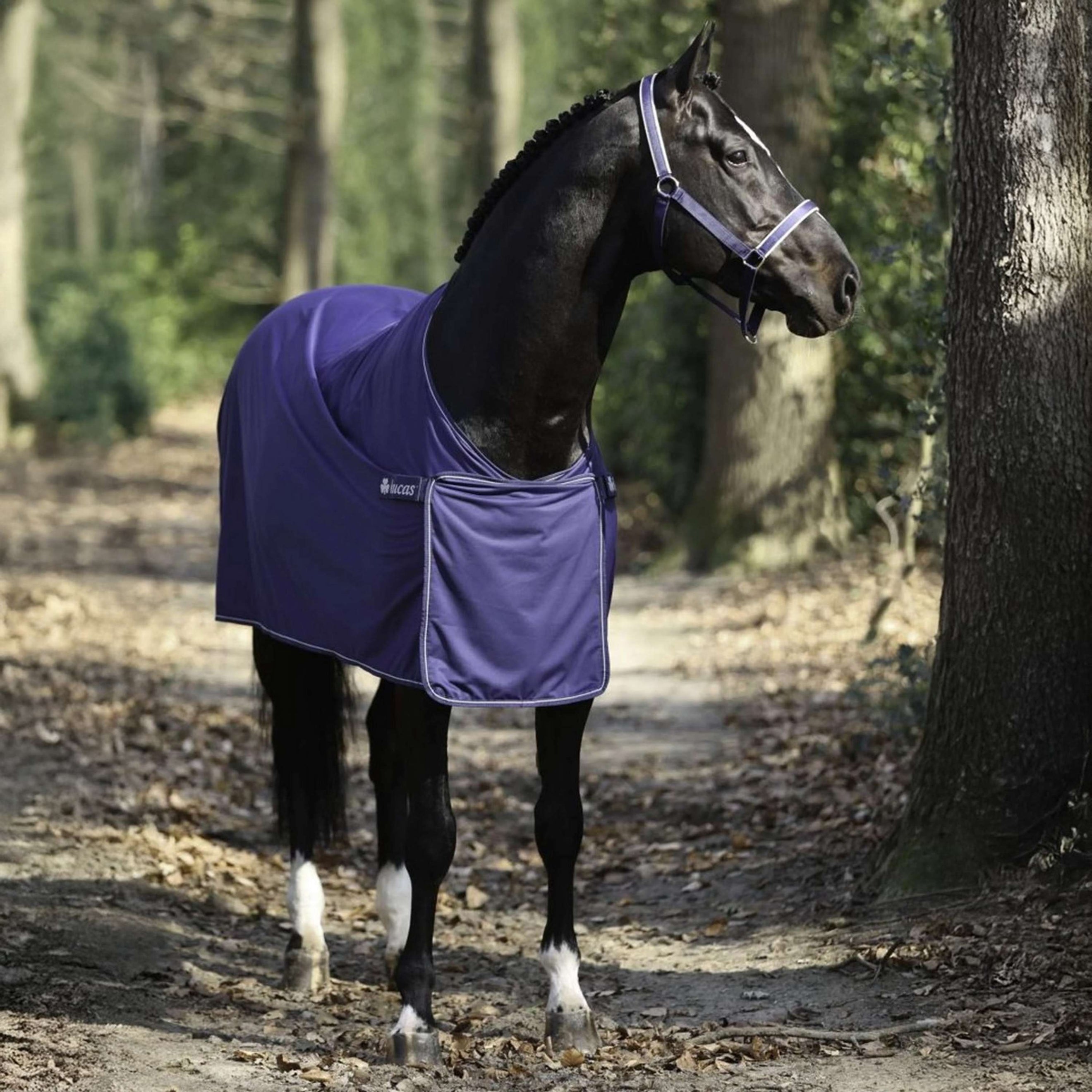 Bucas Panel Prize Cooler Navy/Silber