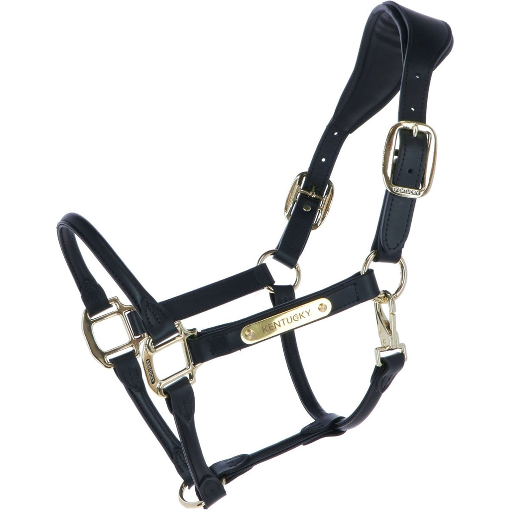 Kentucky Halfter Anatomisches Leder Schwarz
