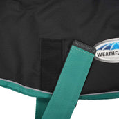 Weatherbeeta Hundejacke Green-Tec 900D Dog Coat Lite Medium Schwarz/bottle Grün