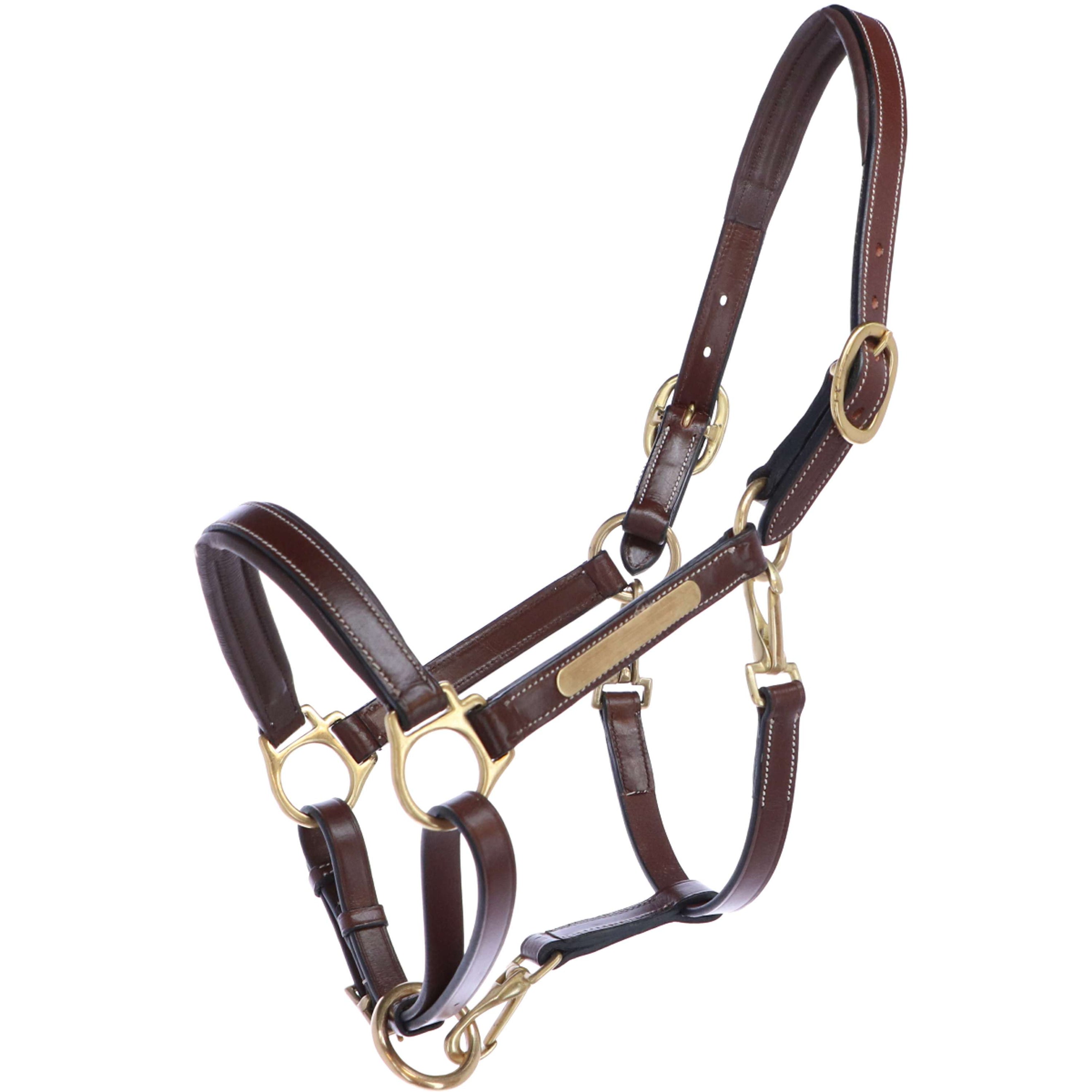 Eric Thomas Halfter Pro Leder Grooming Havanna Eric Thomas Halfter Pro Leder Grooming Havanna